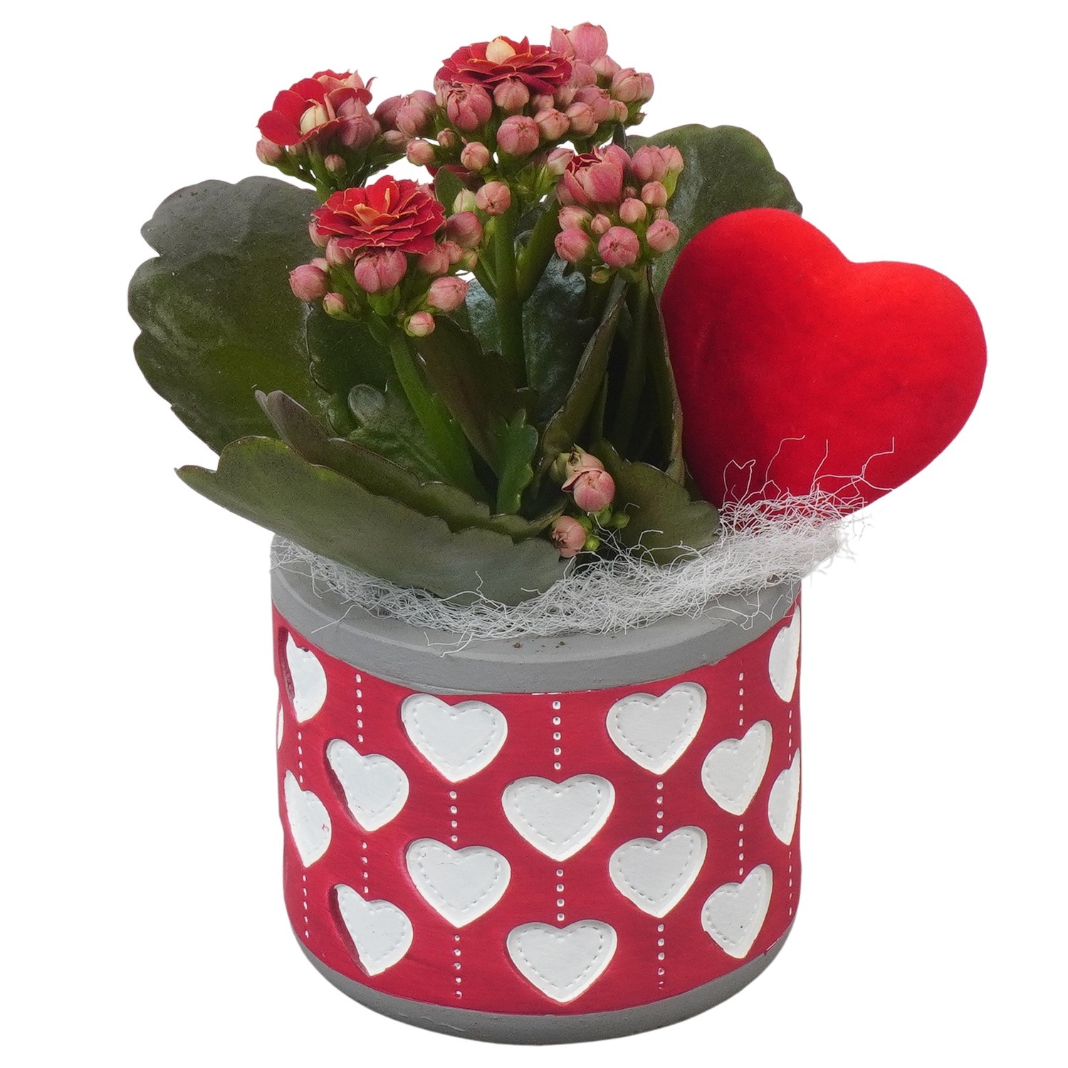 PTVMB2305 Arrangement Valentines-Mothersday in beton sierpot, D 8