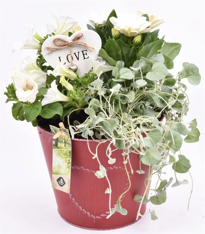 Zink pot rood met hart 18cm, D 18