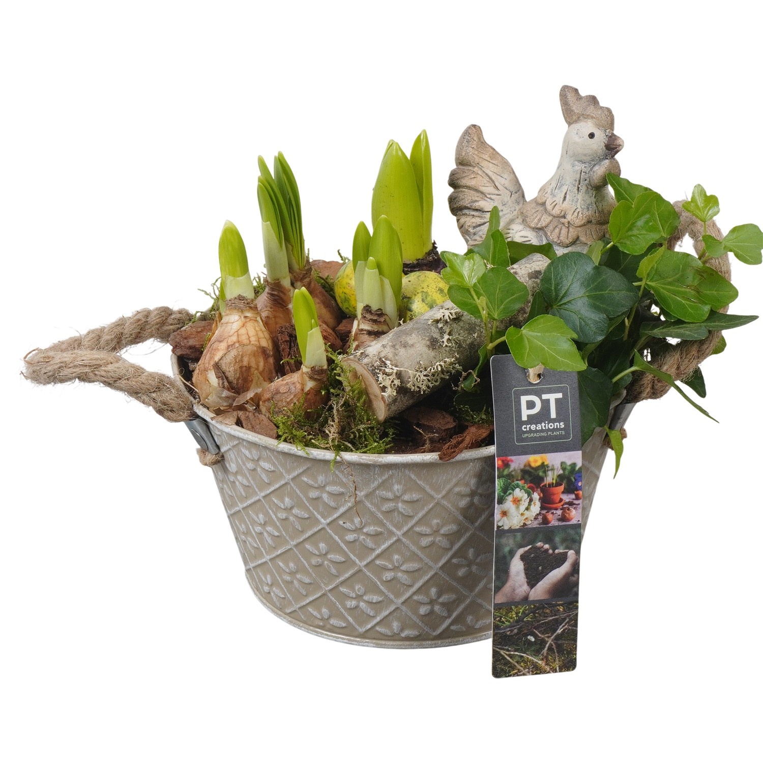PTBMP5645 Arrangement Easter Bulbs Mix in zink pot, D 18