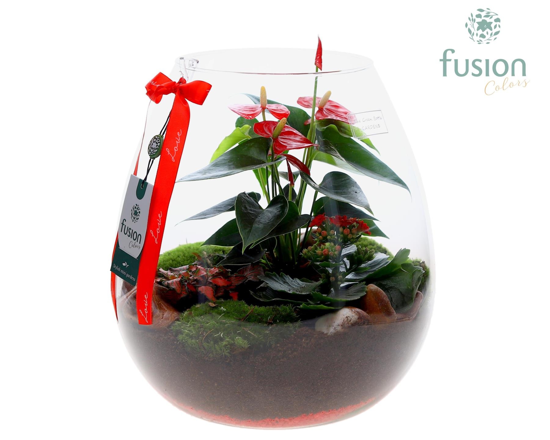 Green Bottle Abby XLarge Love met arrangement, D 29