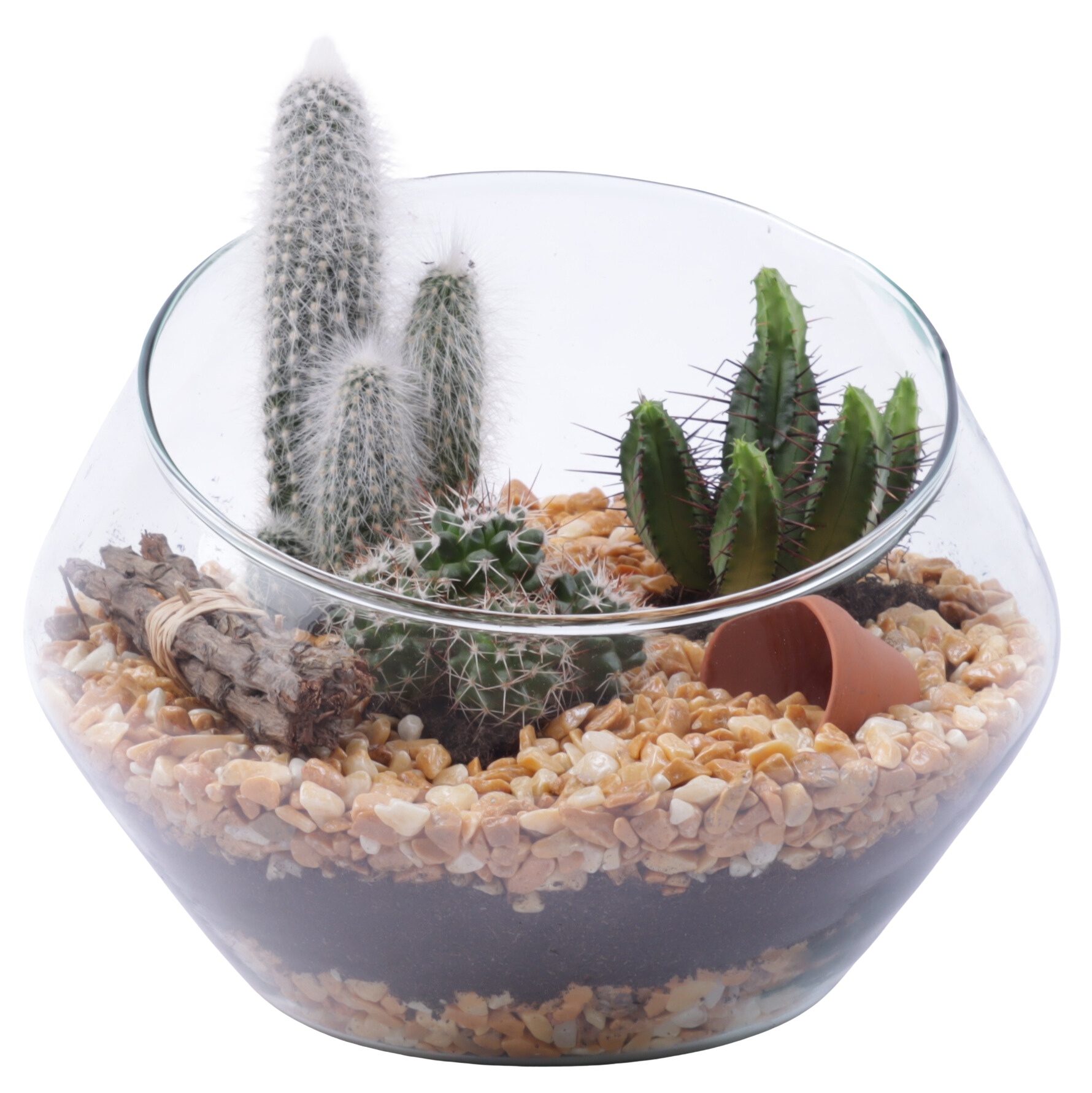 Yearround Arr. Cactus Glass Oblique UFO Vase Ø20cm 3PP, D 20