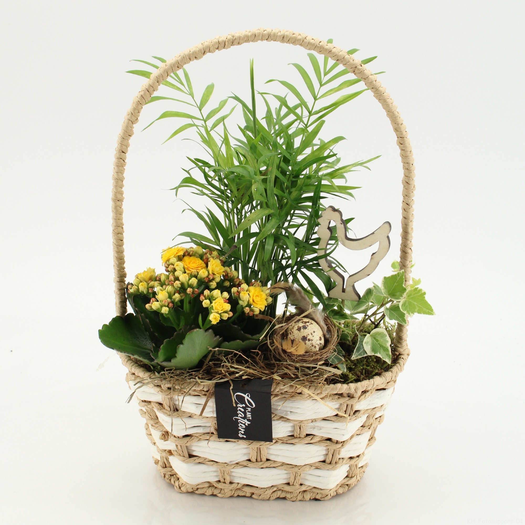 PSCR-2621G Easter Essentials, D 22