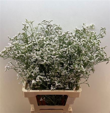 Лимониум Вайт Нето 70, шт.