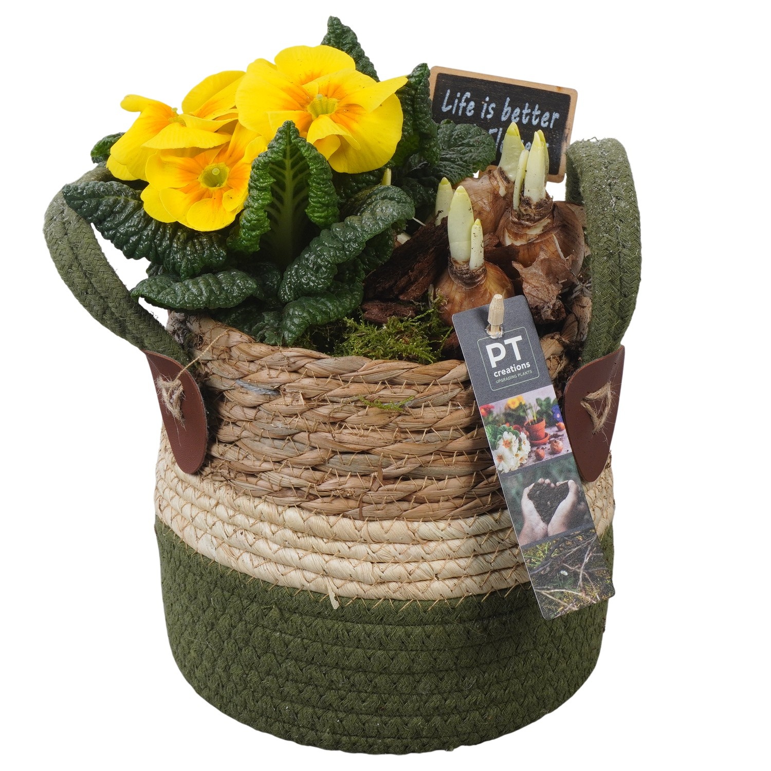 PTBM3828 Arrangement Flower Bulbs Mix in rieten mand, D 15