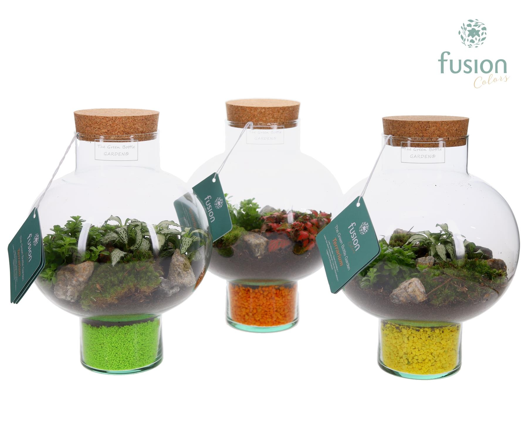 Green BottleLaura Small met Terrarium arrangement, D 20