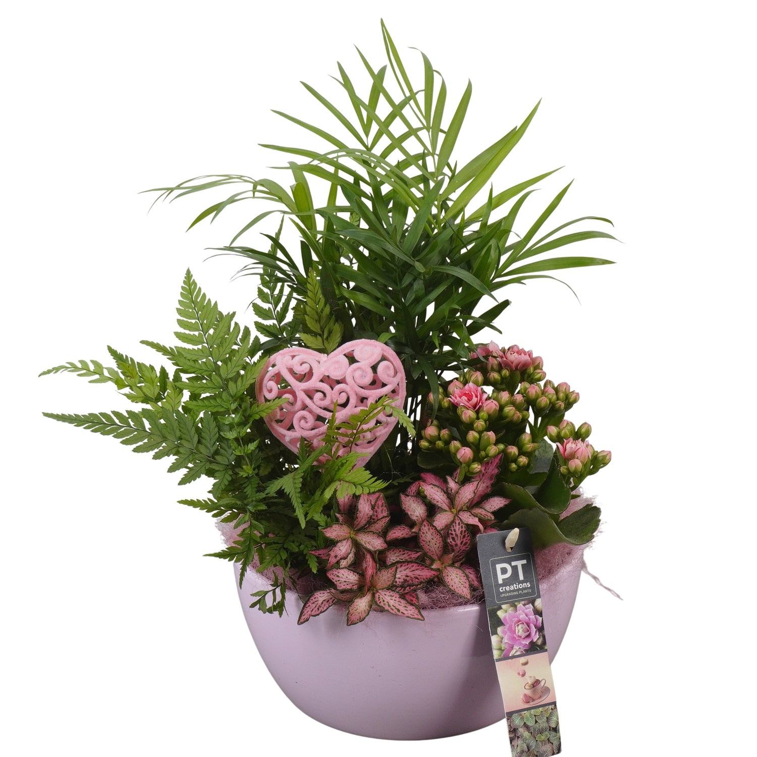 PTVMB2214 Arrangement Valentines-Mothersday in keramiek schaal, D 18