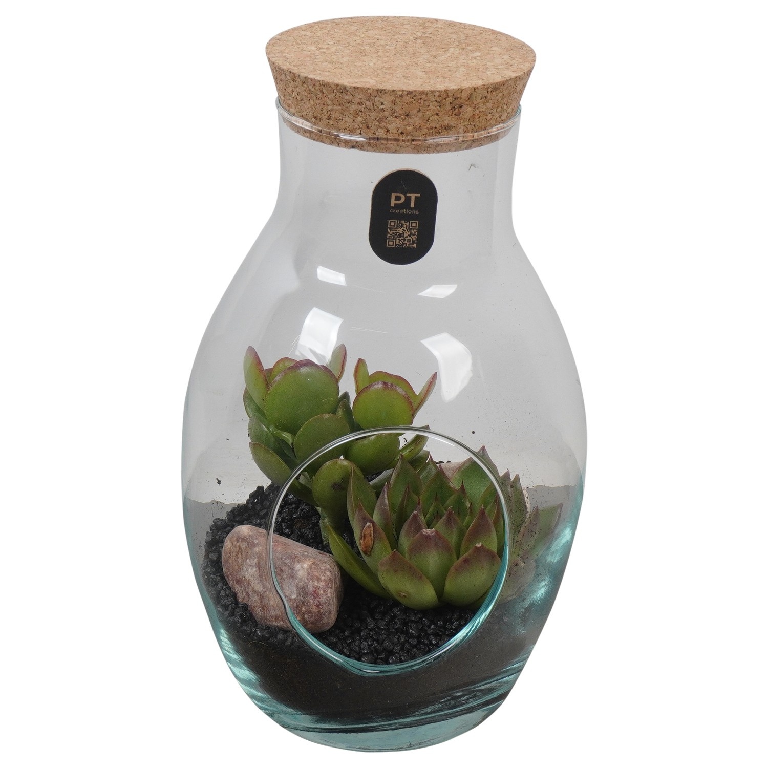 PTSU8512 Arrangement Succulenten in glazen fles, D 13