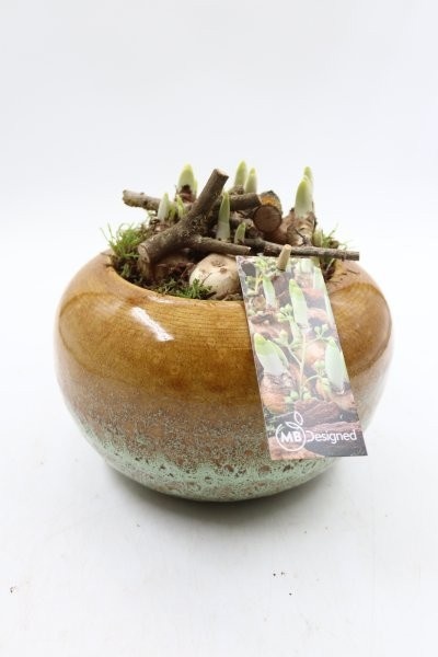 Narcis, luxe keramiek Ufo, D 20