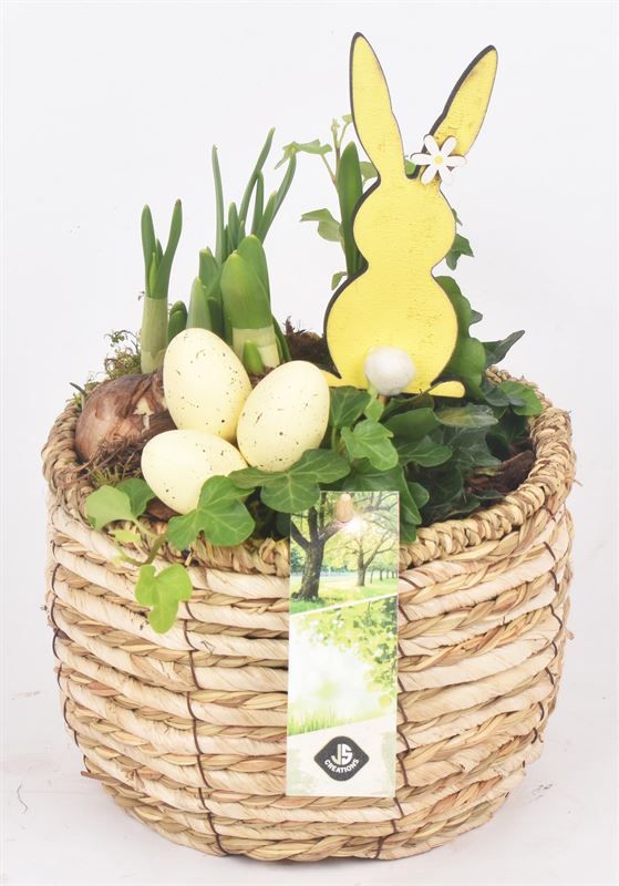 Mais mand 16cm, D 16