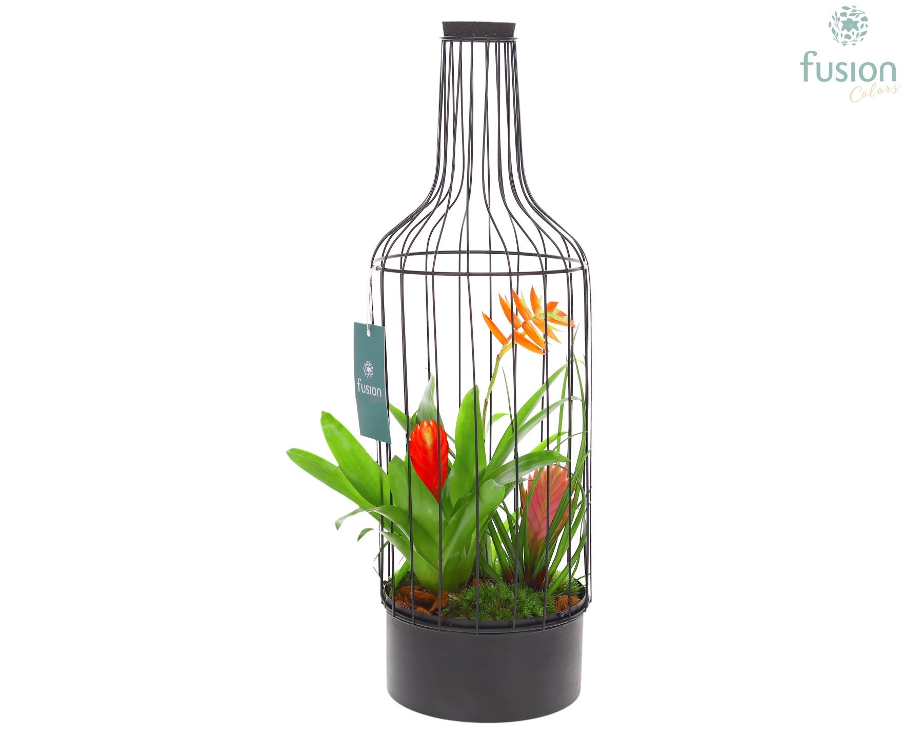 Metaal fles zwart Large met Bromelia, D 17
