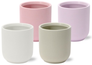 Spathiphyllum Chopin Charming - 9cm in Atlanta | Mimesis, D 9