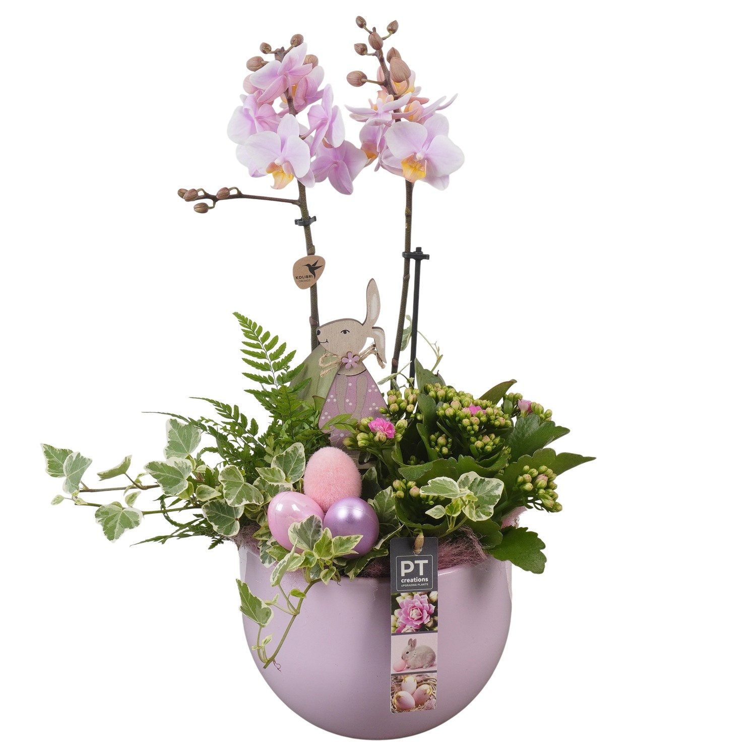 PTPB6524 Arrangement Easter in keramiek pot, D 19