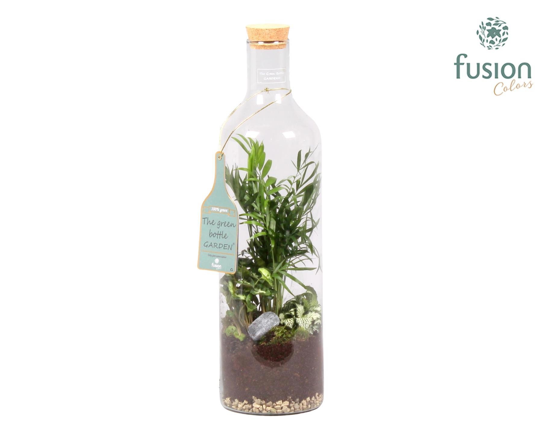 Green Bottle Fles Large met Groen Planten Arrangement, D 15