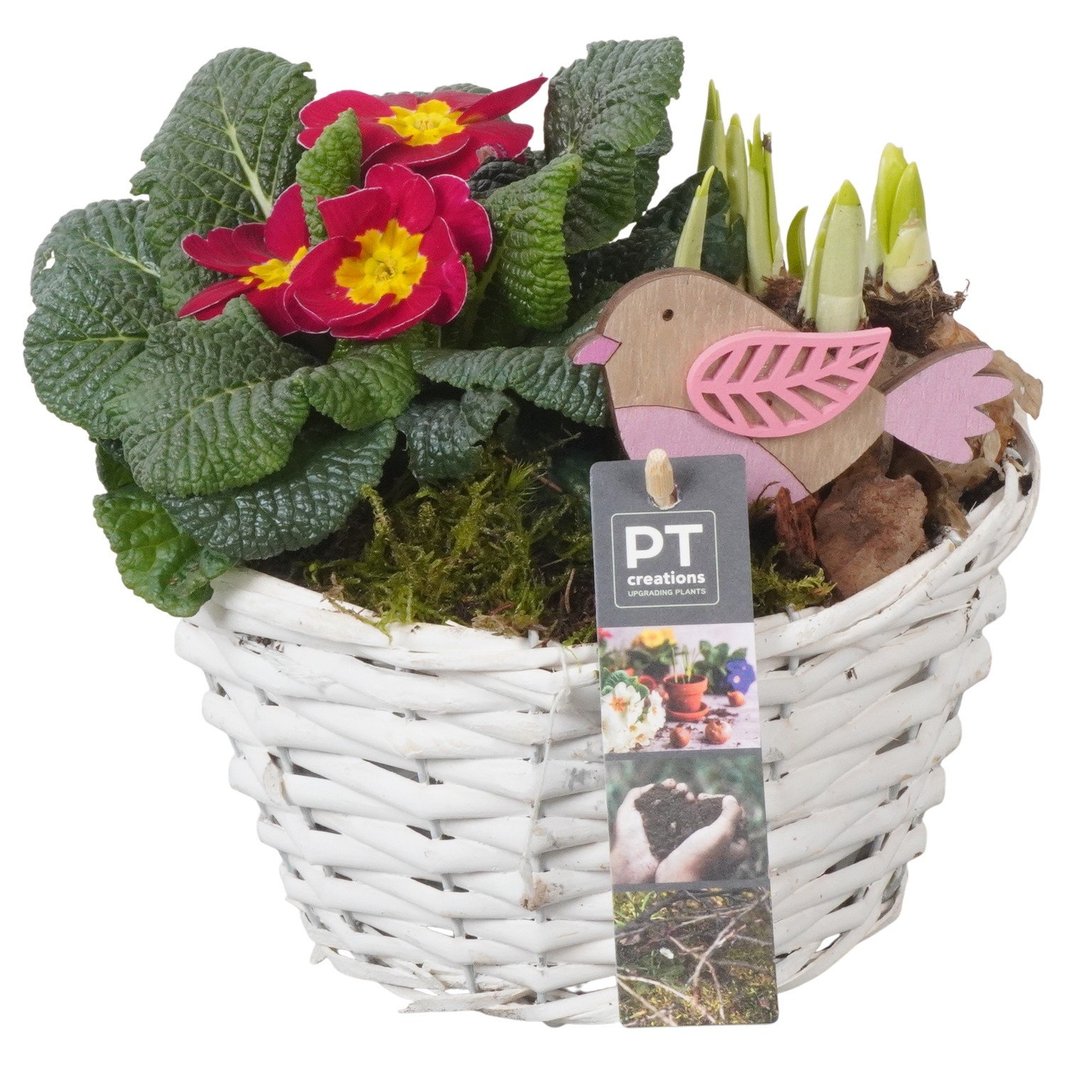 PTBM3851 Arrangement Flower Bulbs Mix in rieten mand, D 18