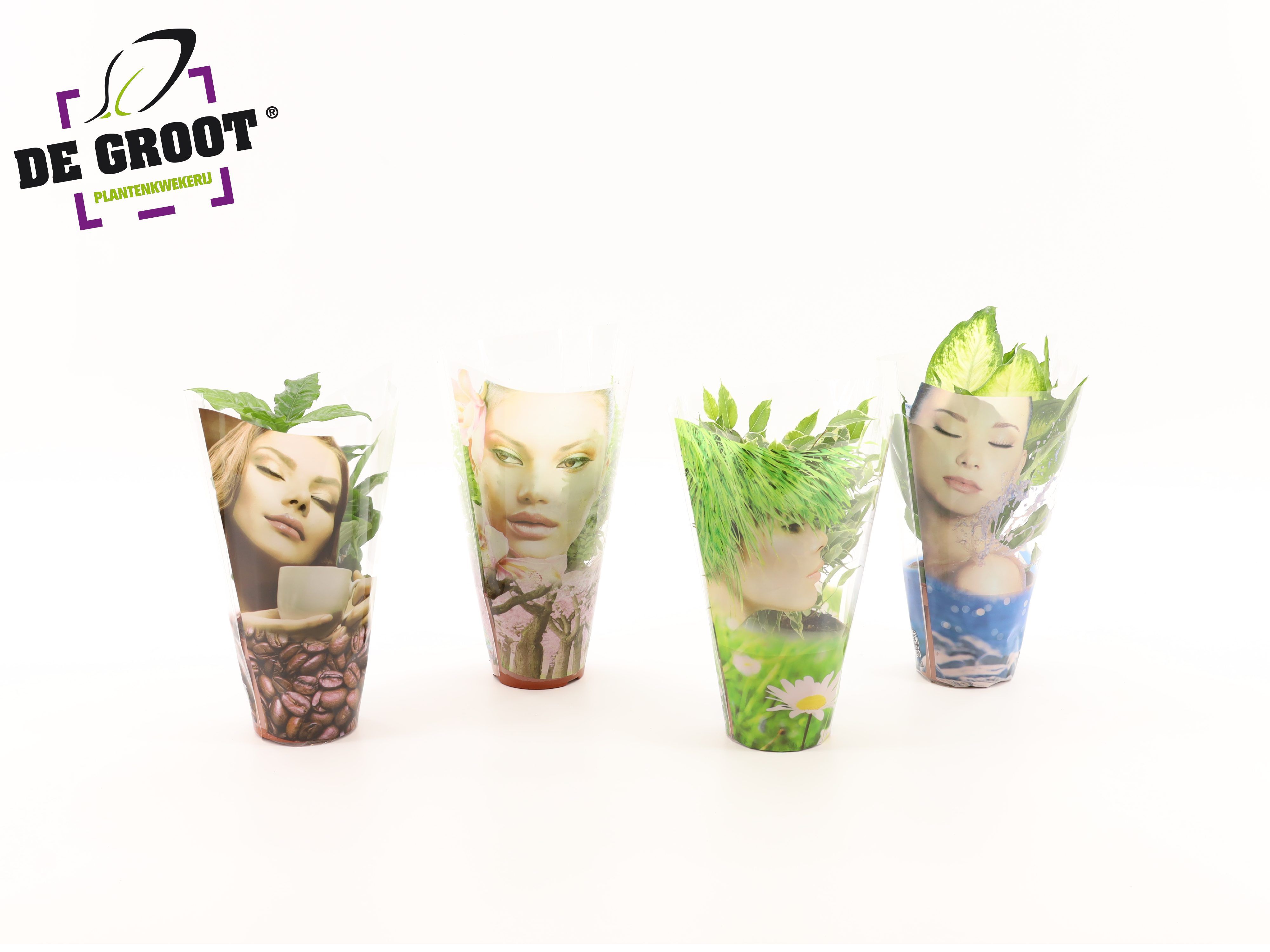 Groenmix compact in hoes "Face", D 12