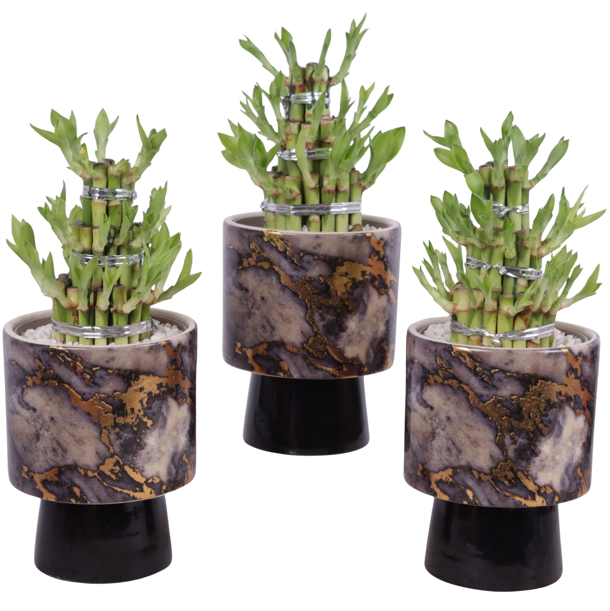 Lucky Bamboo Shape Round 3S Ø14cm Ceramic PL672, D 14