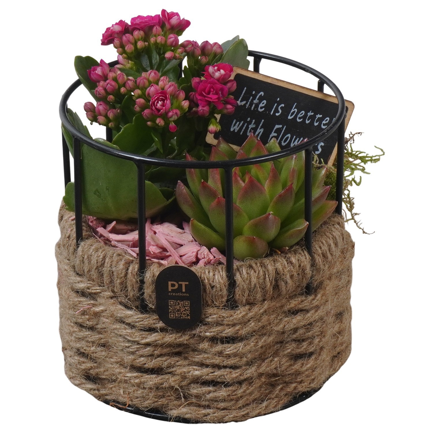 PTIB5271 Arrangement Indoor in touwmand met metaal, D 12