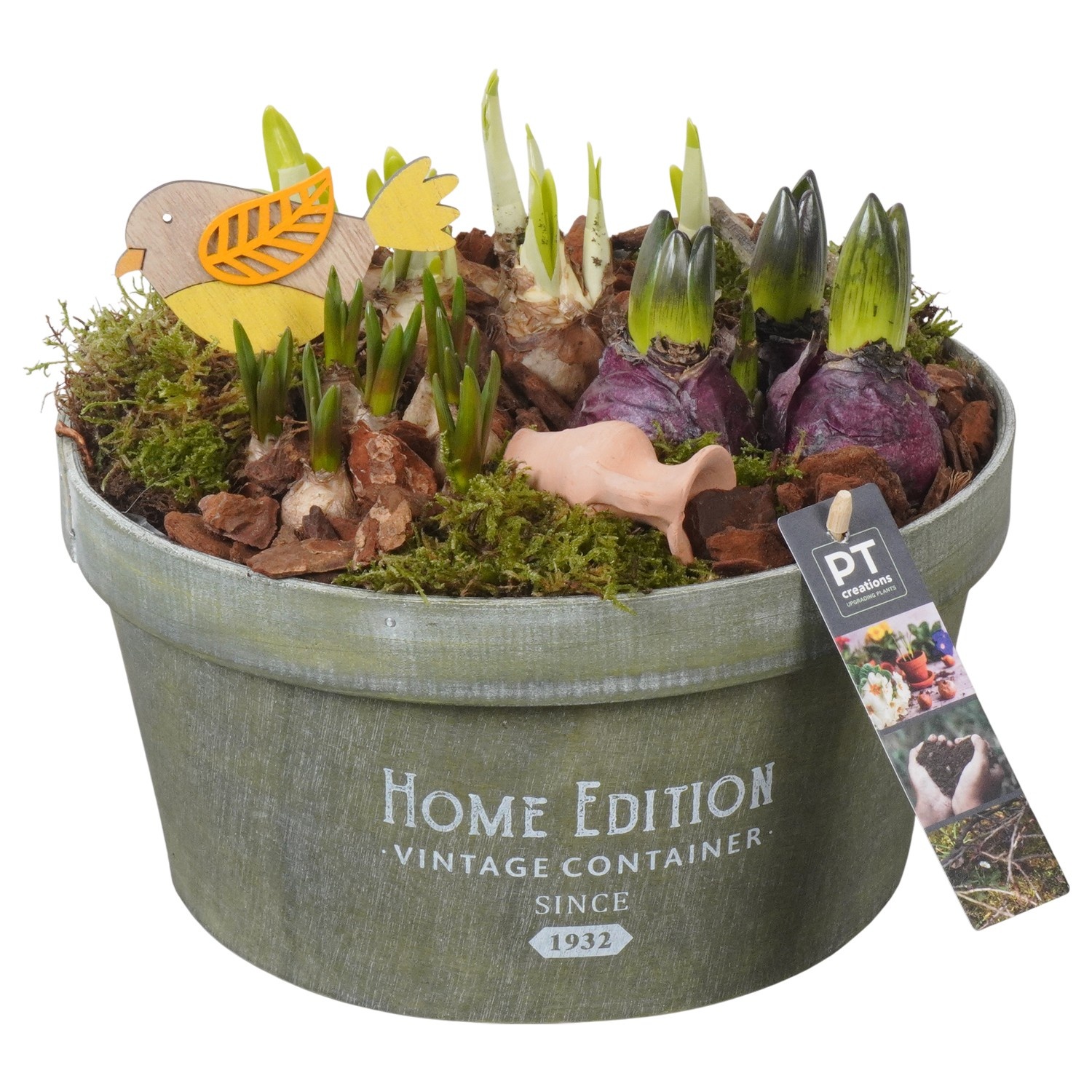 PTBM3925 Arrangement Flower Bulbs Mix in houten pot, D 25