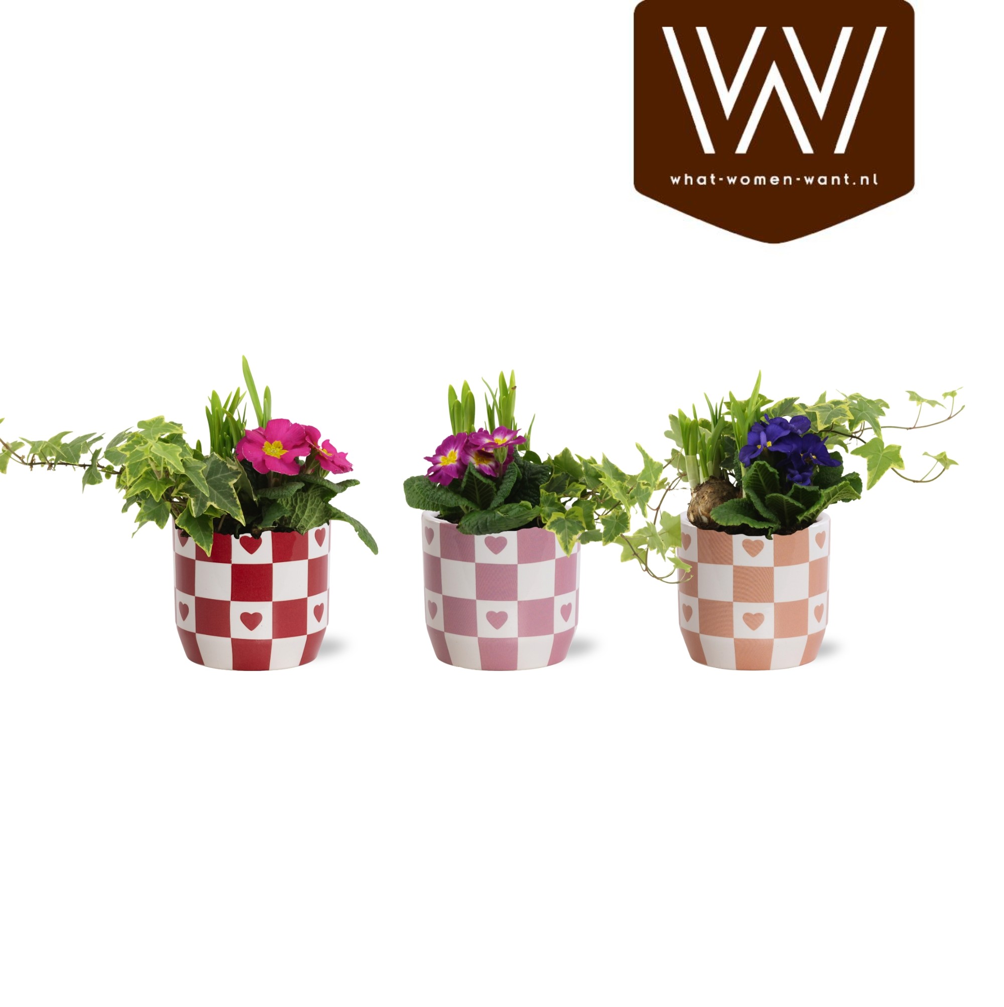 Collectie 'Sympathetic Moods' Arrangement in Keramiek Rosie, D 12