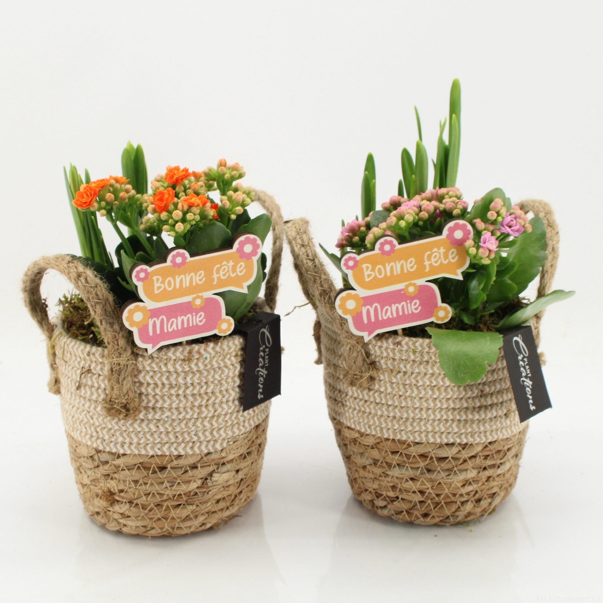 FGCR-2610 Fête des grands-mères, D 14