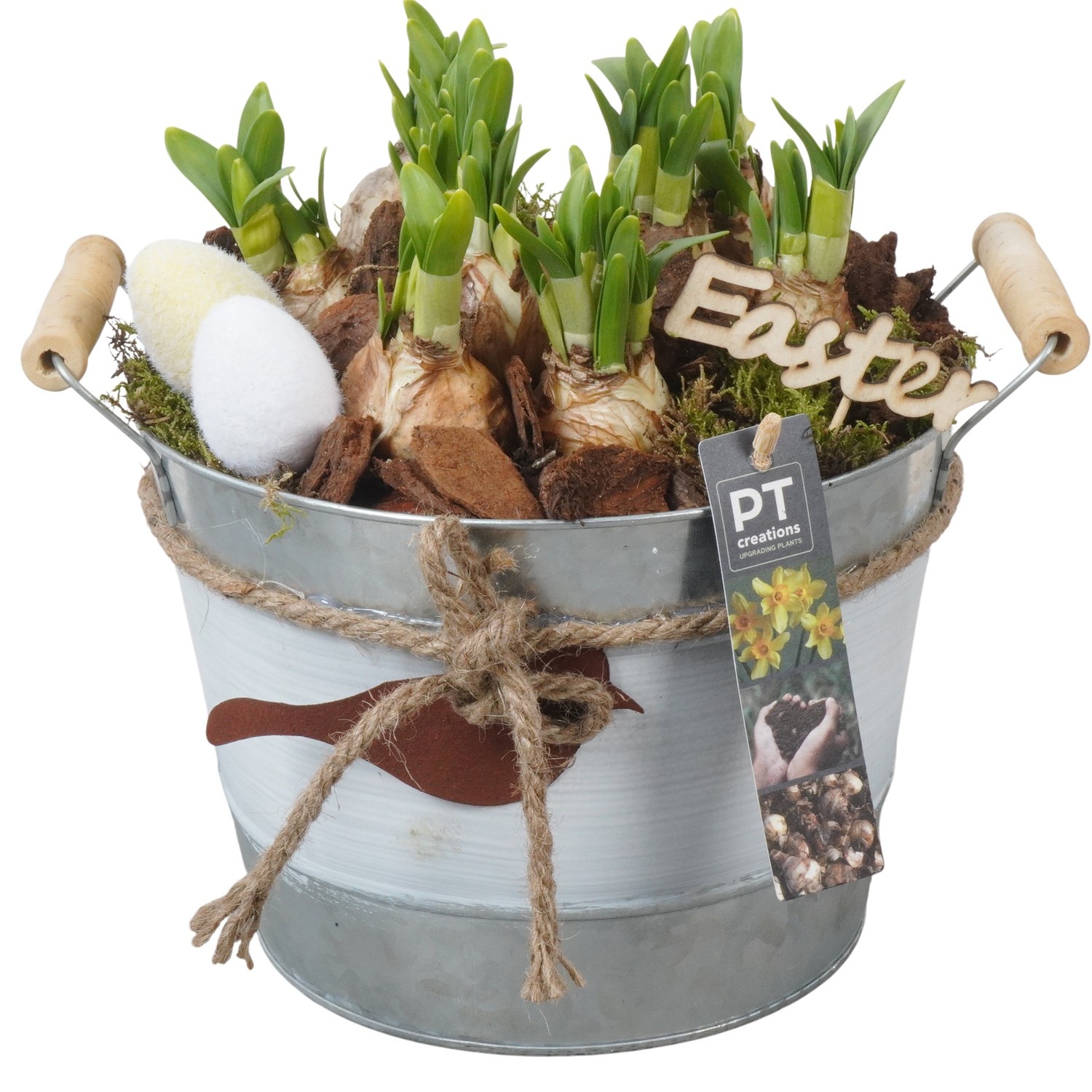 PTNP4450 Arrangement Narcissus Easter in zink pot, D 21