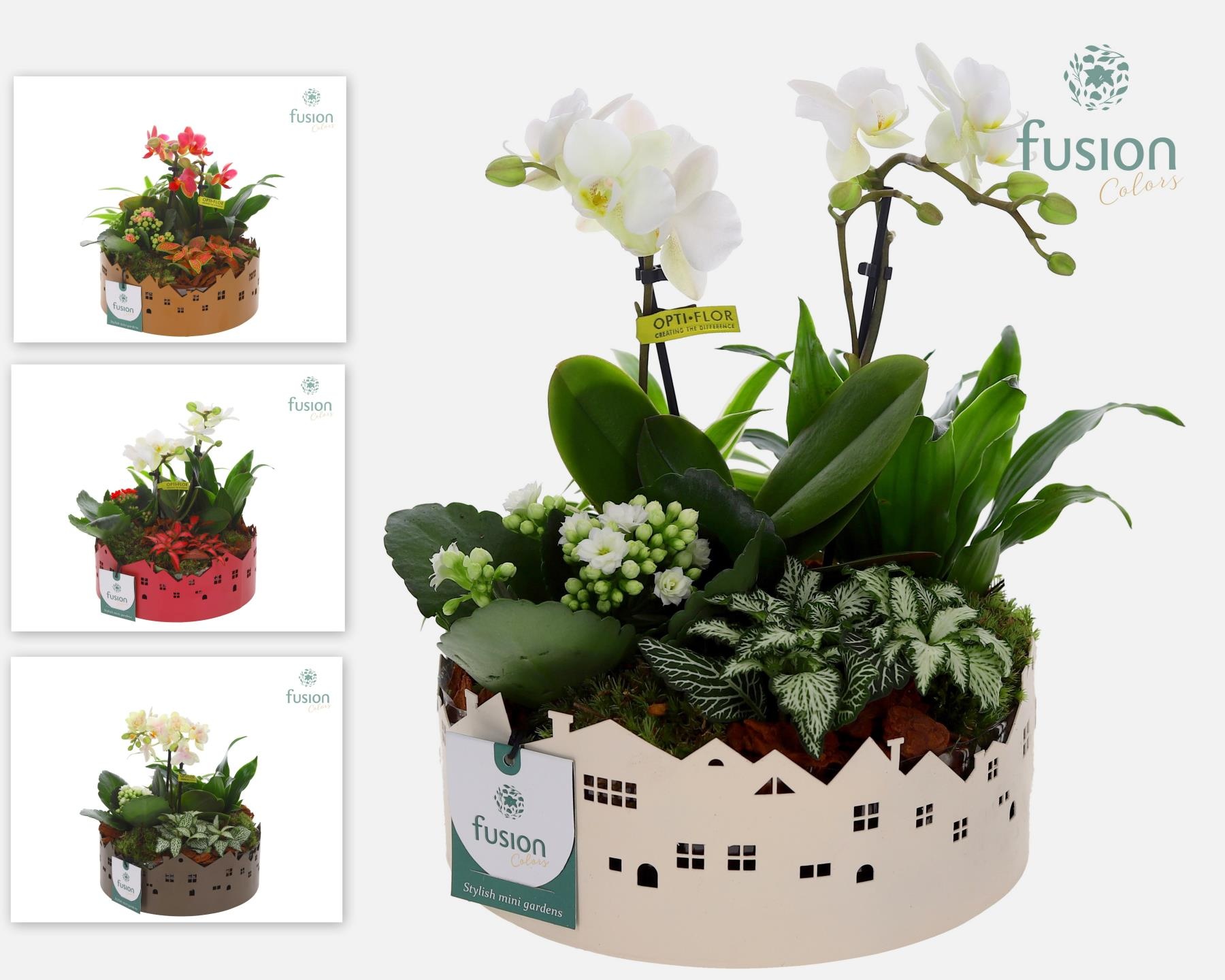 Zinken schaal Huisjes Medium met arrangement, D 19