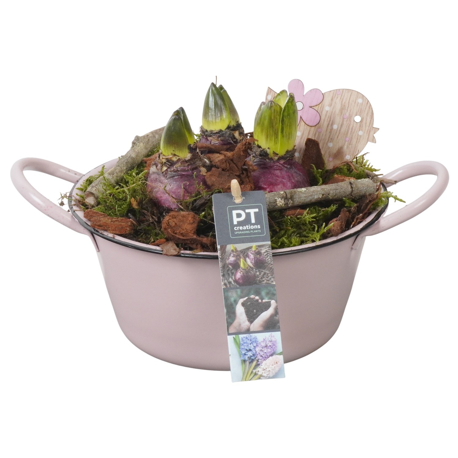 PTHC9111 Arrangement Hyacints in zink schaal, D 19