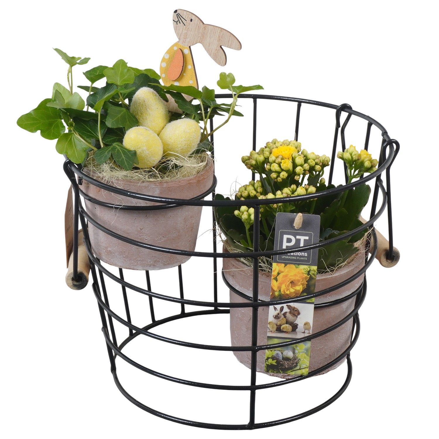 PTPB6593 Arrangement Easter in terracotta pot met metaal, D 23