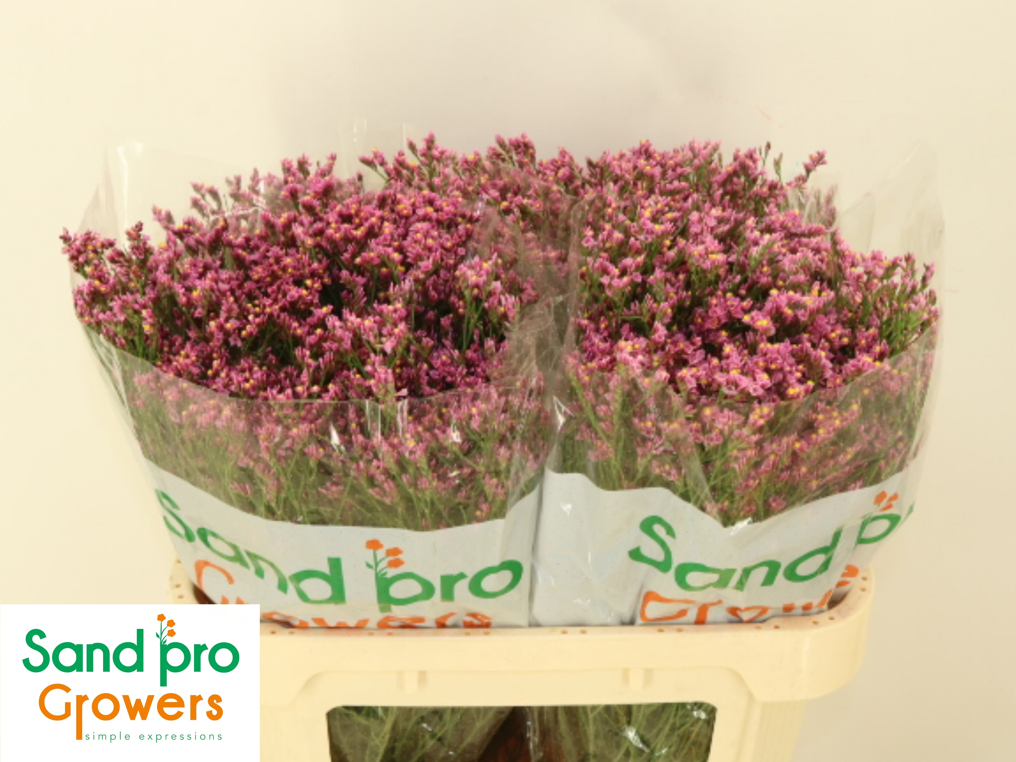 Лимониум Тифани Даймонд 70, шт.