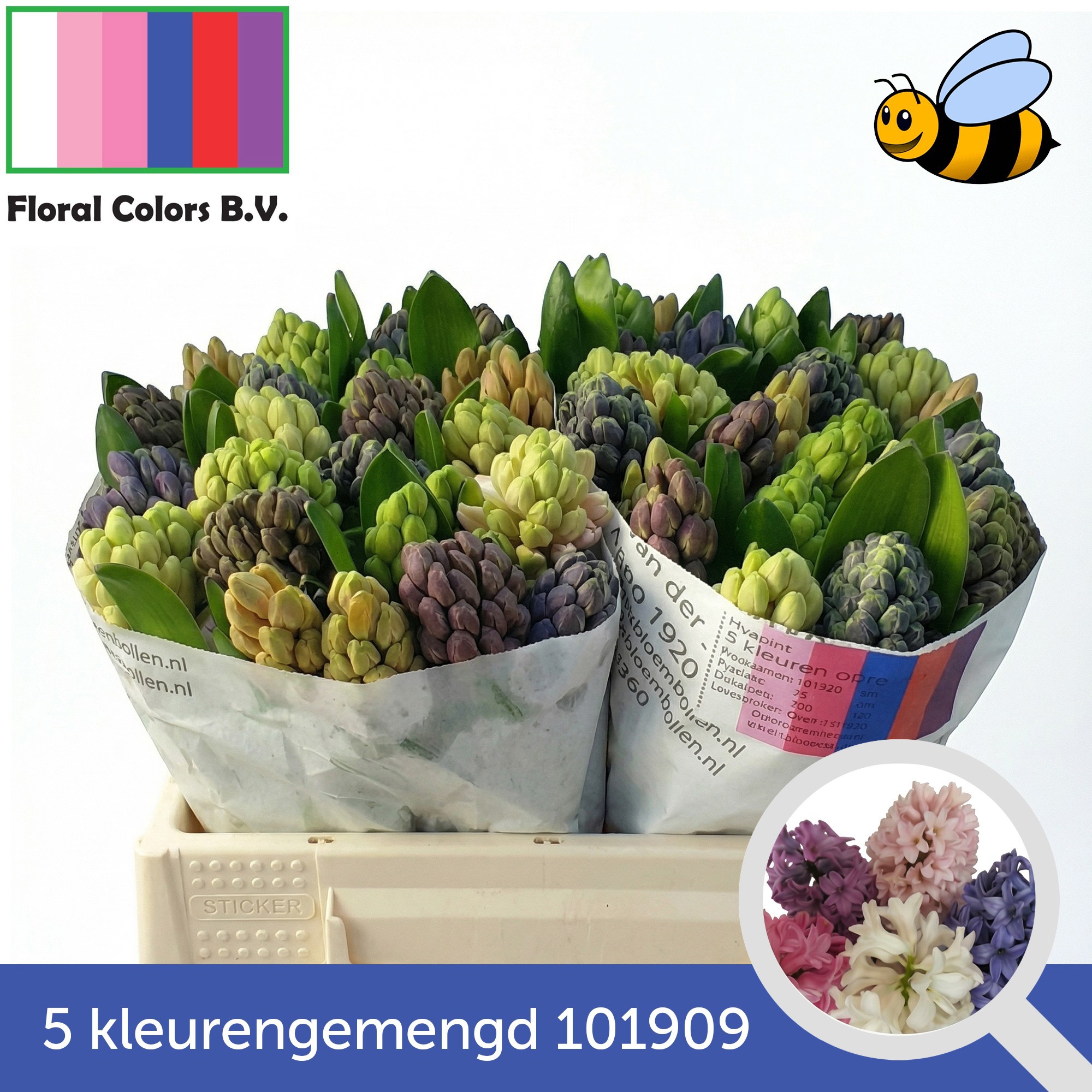 Гиацинт Микс 5 цветов, шт.