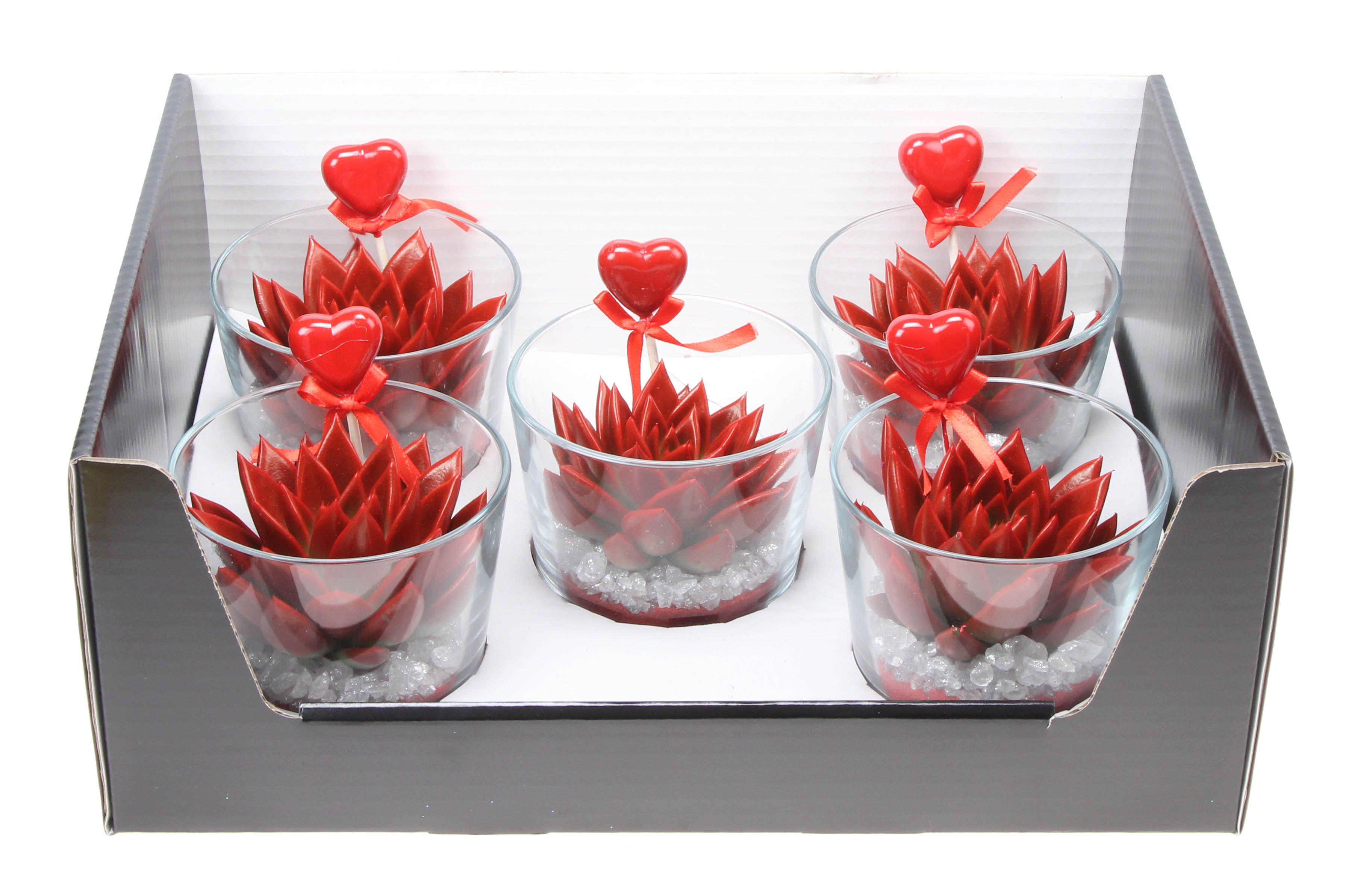 Miranda rood in glas + hartje, D 10