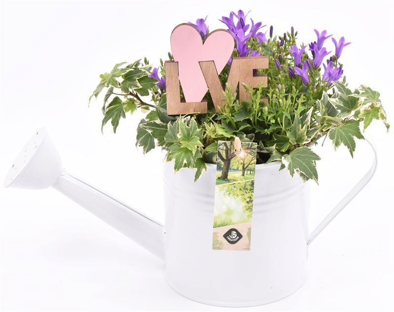 Zink gieter 13cm, D 14