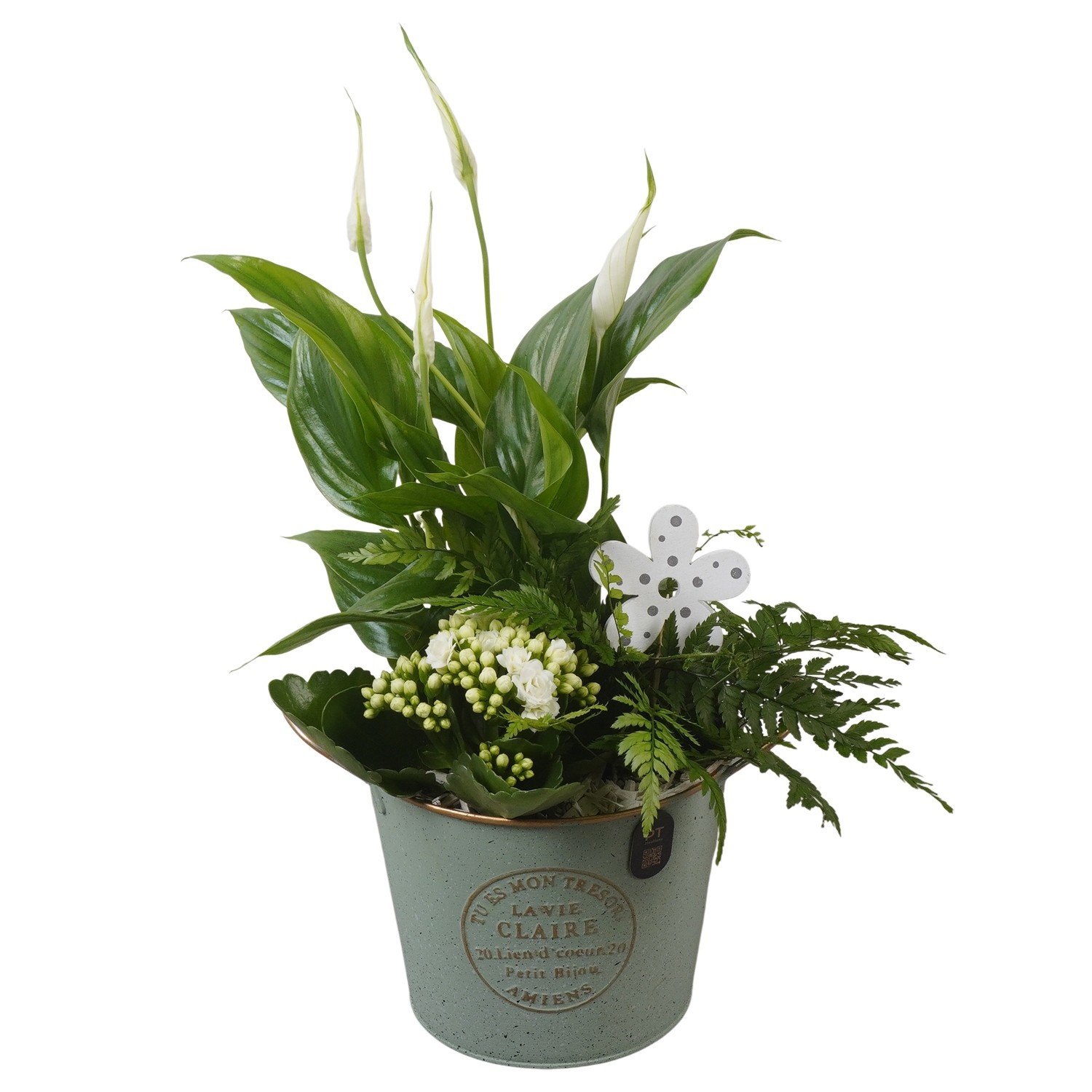 PTIB5305 Arrangement Indoor in metalen pot, D 15