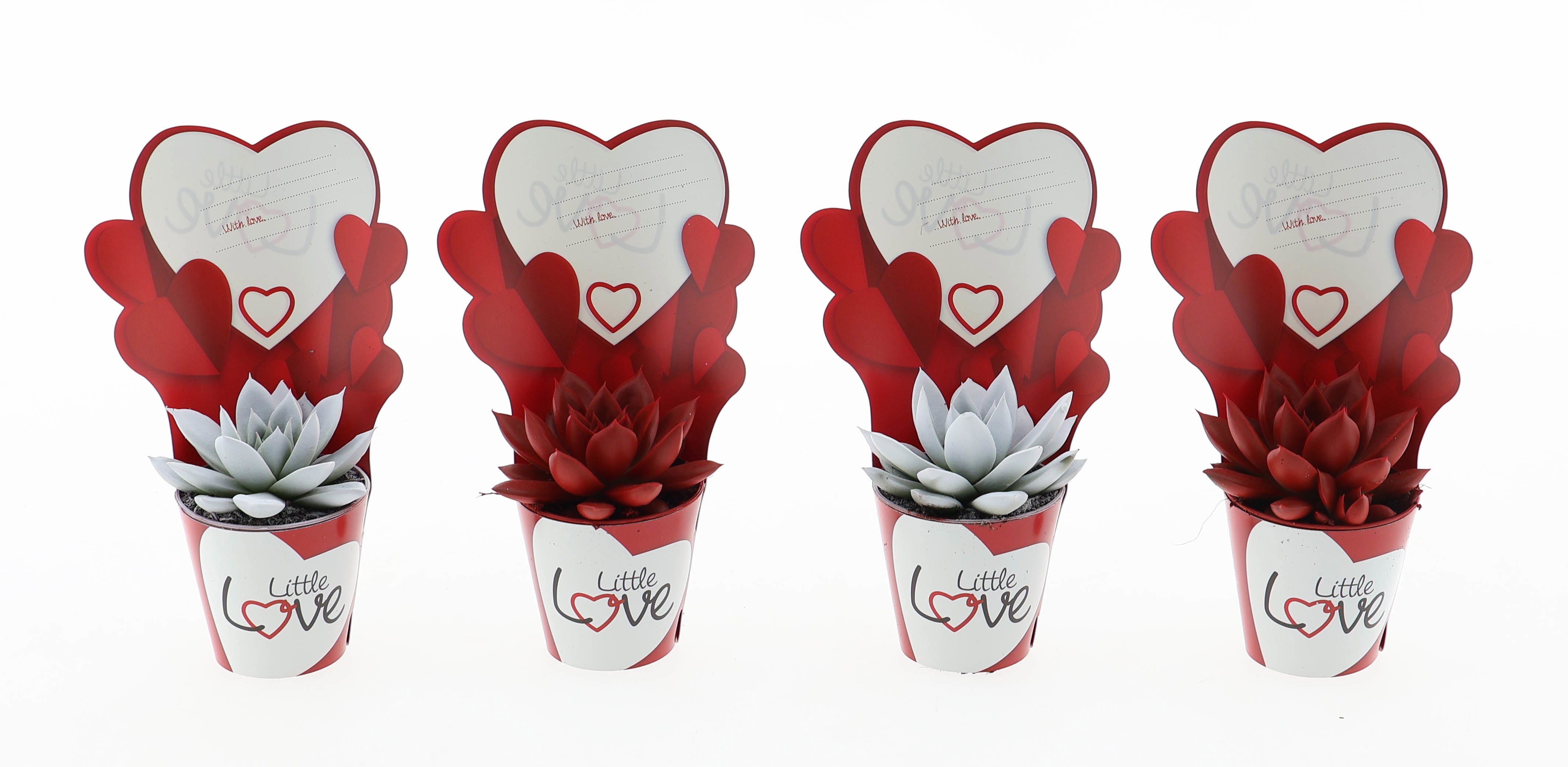 Potcover little love miranda rood/wit, D 5,5