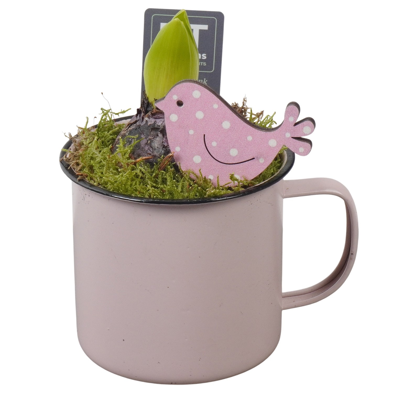 PTHC9130 Arrangement Hyacints in zink pot, D 10