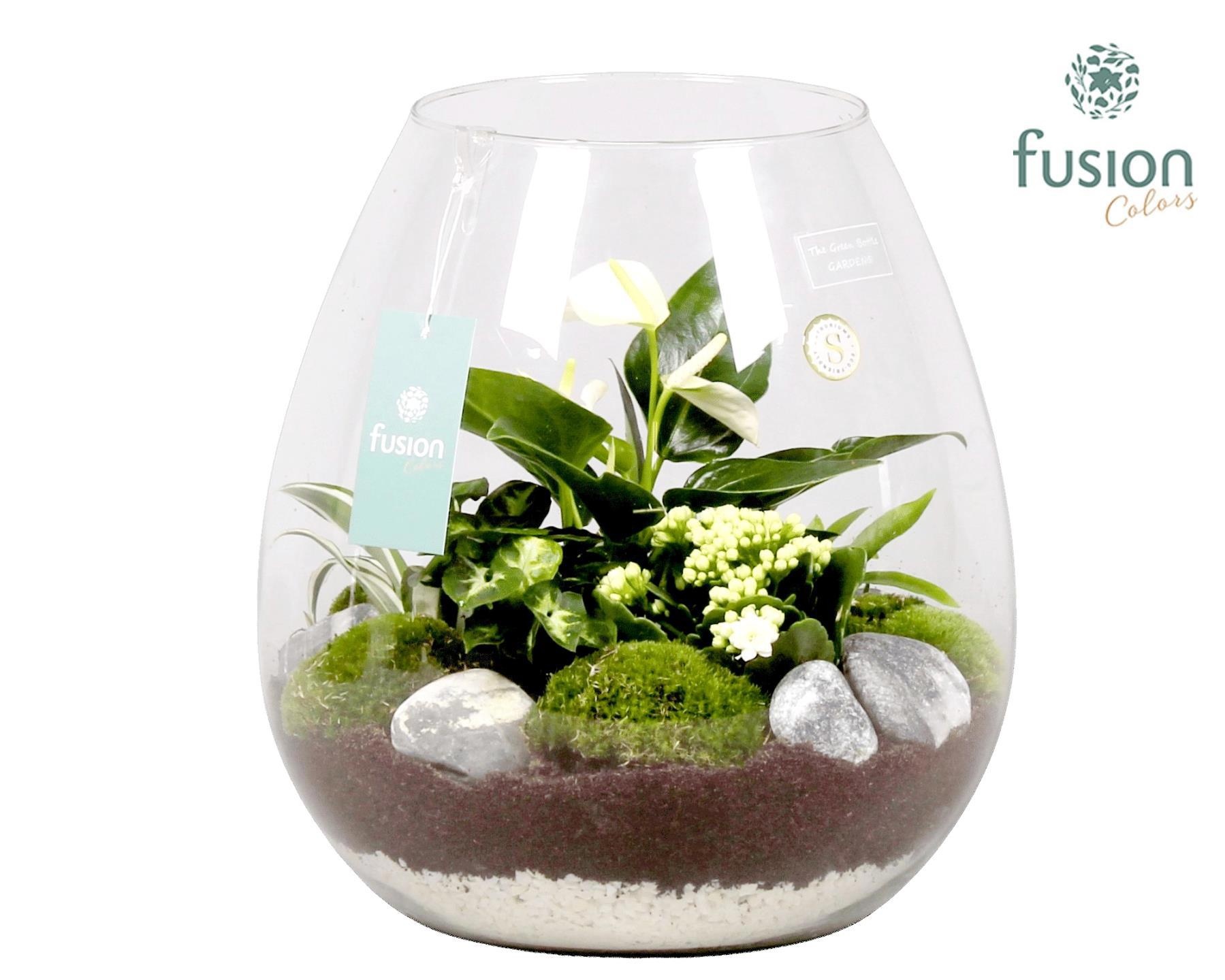 Green Bottle Abby XLarge met Groen Planten Arrrangement, D 29