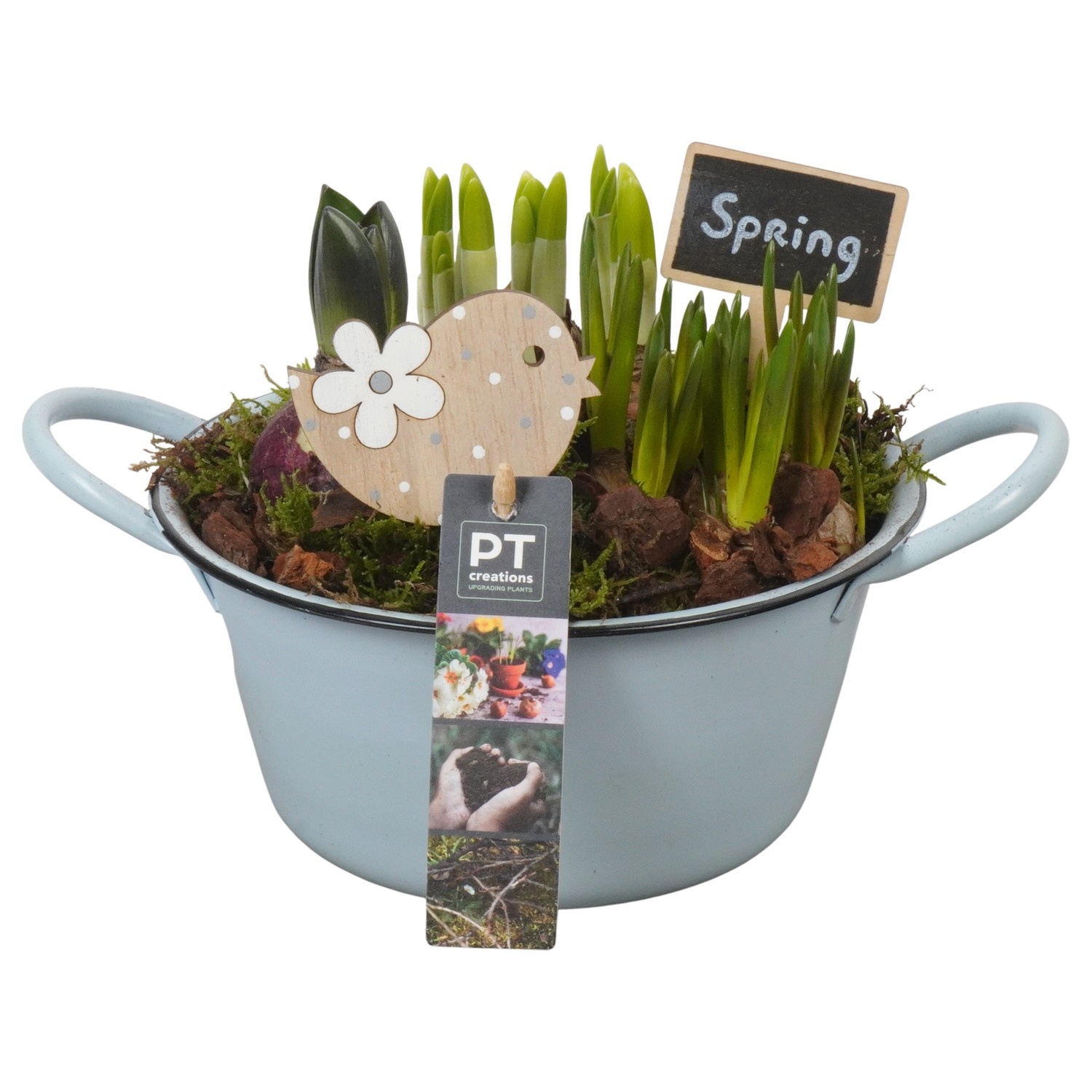 PTBM3728 Arrangement Flower Bulbs Mix in metalen schaal, D 19