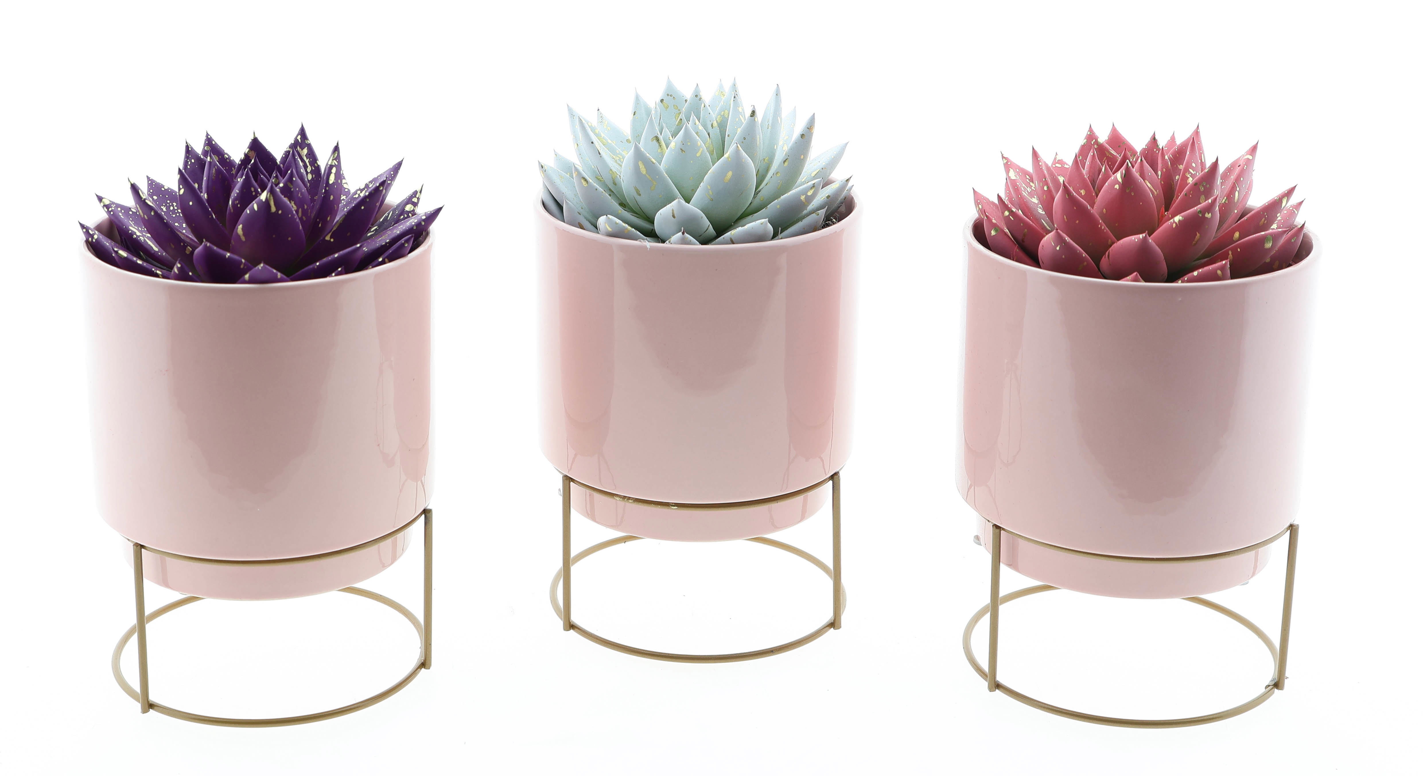 Pot love deluxe sprinkle mix, D 12