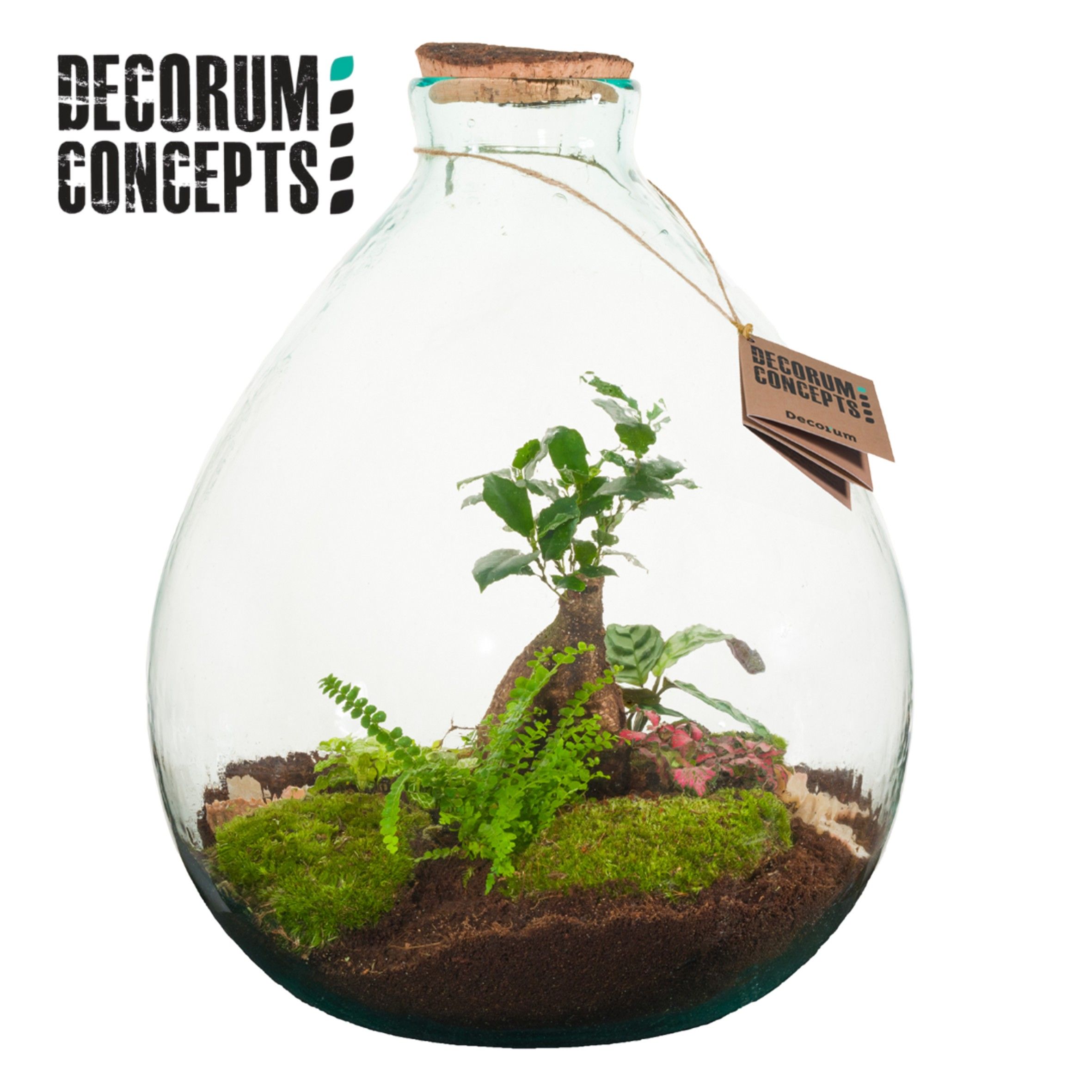 Terrarium Galaxy medium (Decorum concepts), D 36