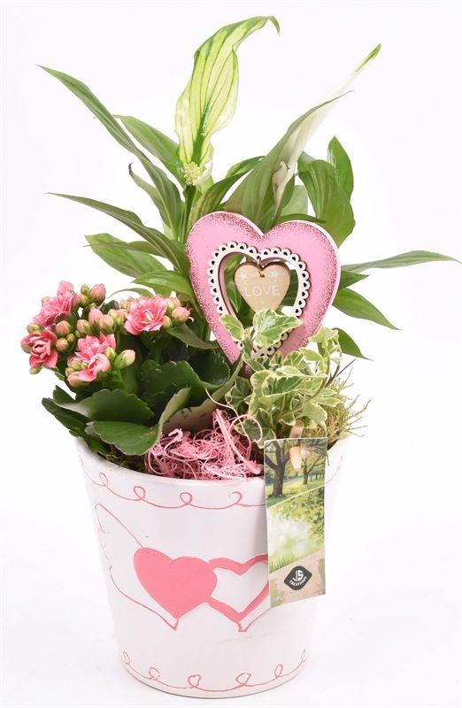 Keramiek pot met hart decor 13.5CM, D 14