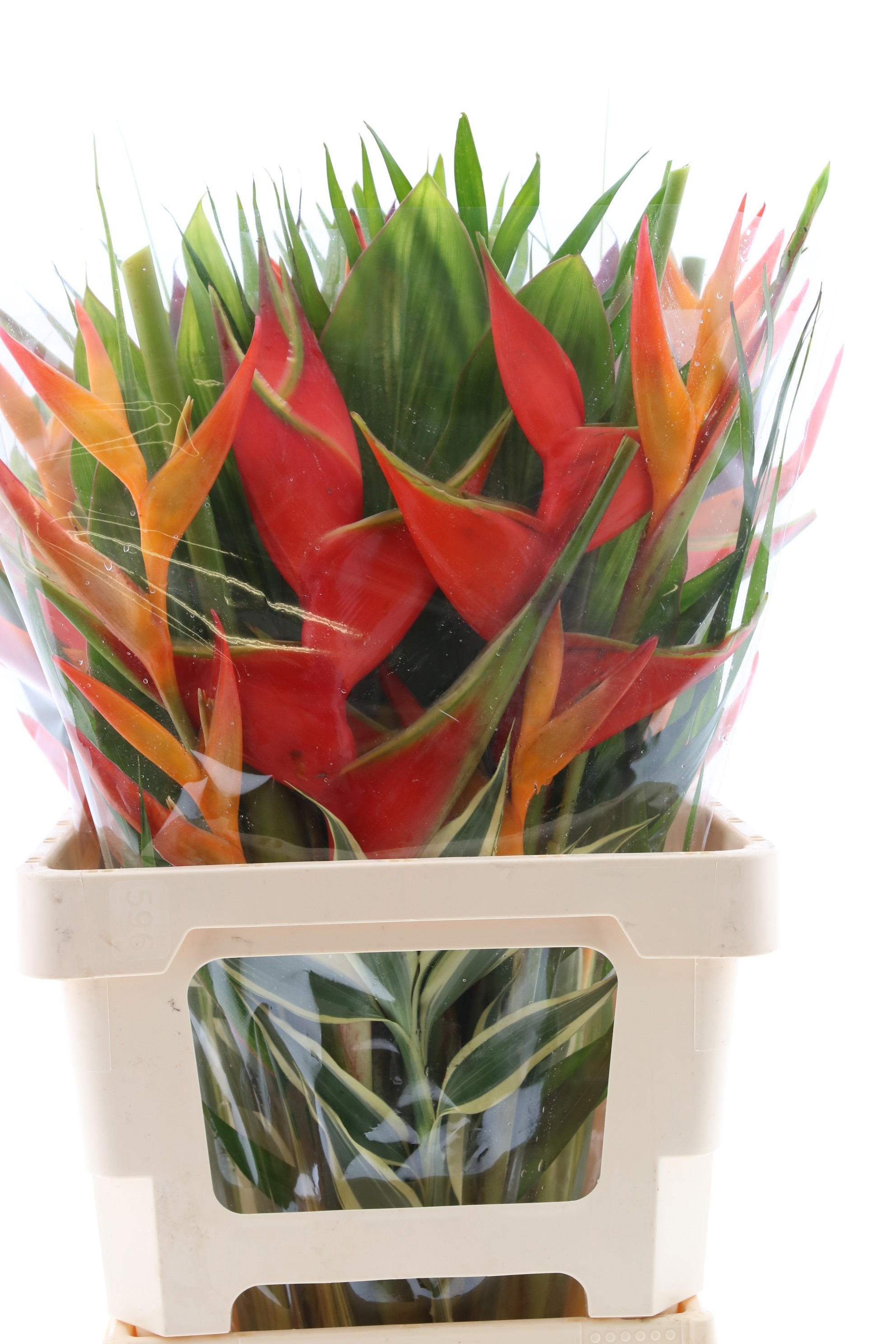 Геликония Букет, шт.