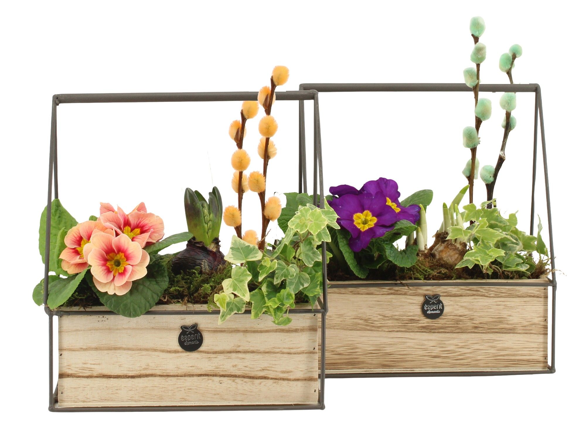 11677: Outdoor spring arrangement, D 22