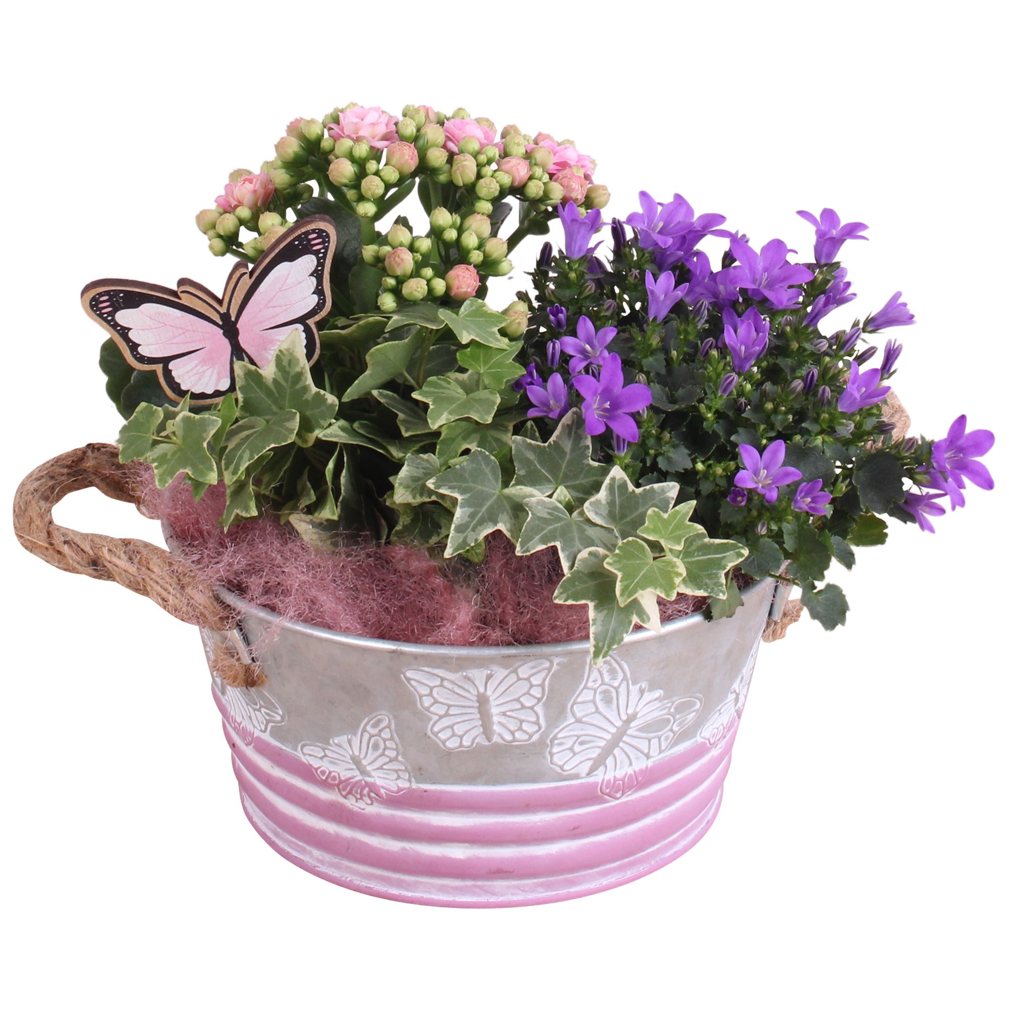 Mothersday Arr. Indoor Zinc Butterfly Pot Ø18cm 3PP, D 18