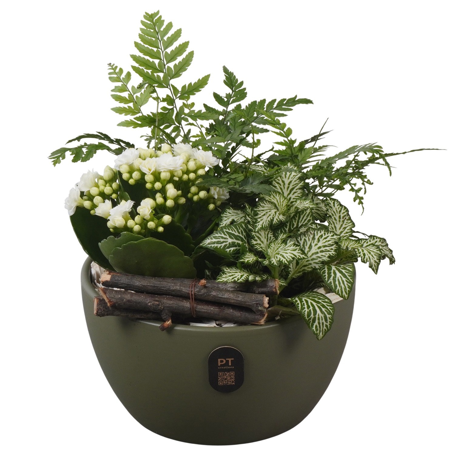 PTIB5142 Arrangement Indoor in keramiek schaal, D 16