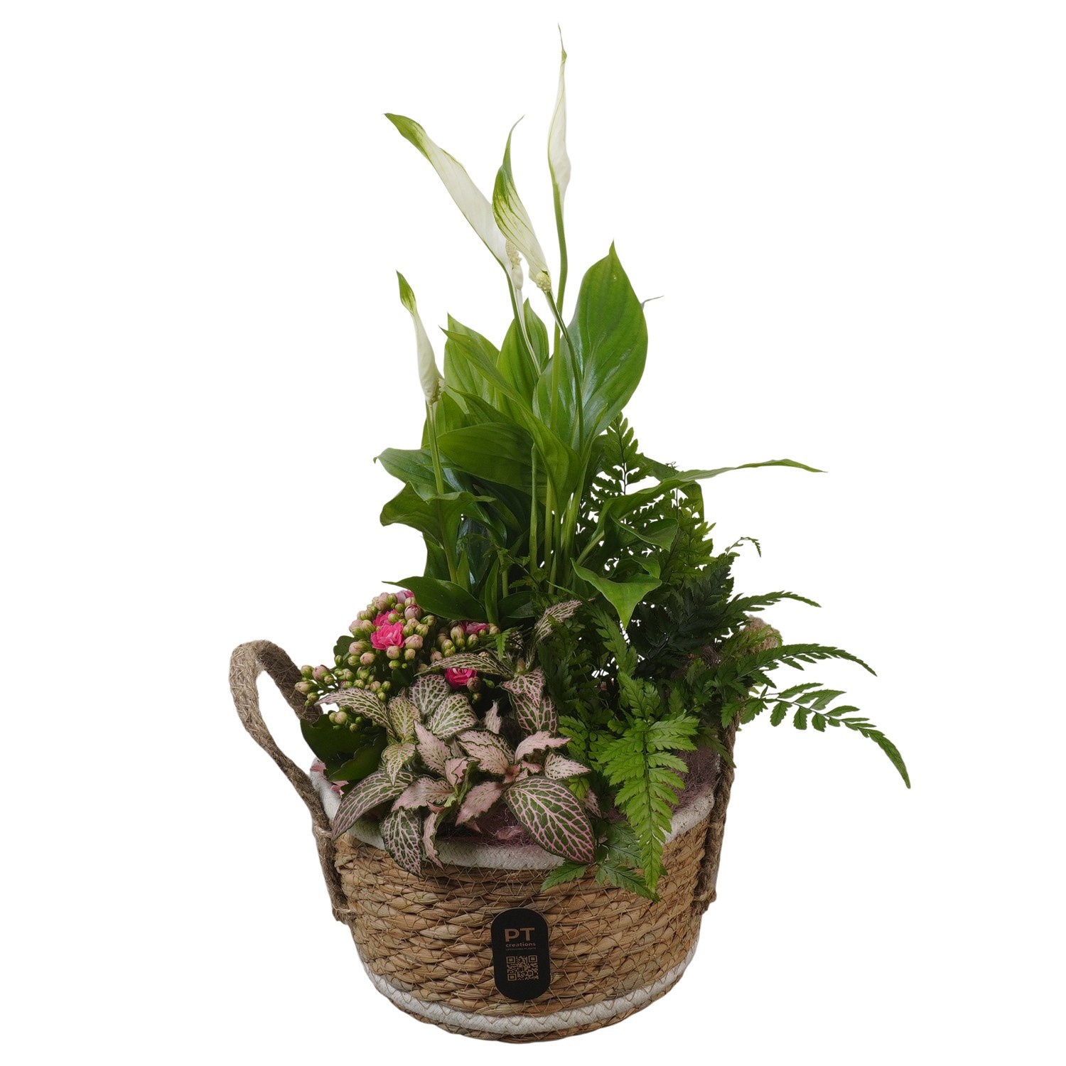 PTIB5245 Arrangement Indoor in rieten mand, D 18