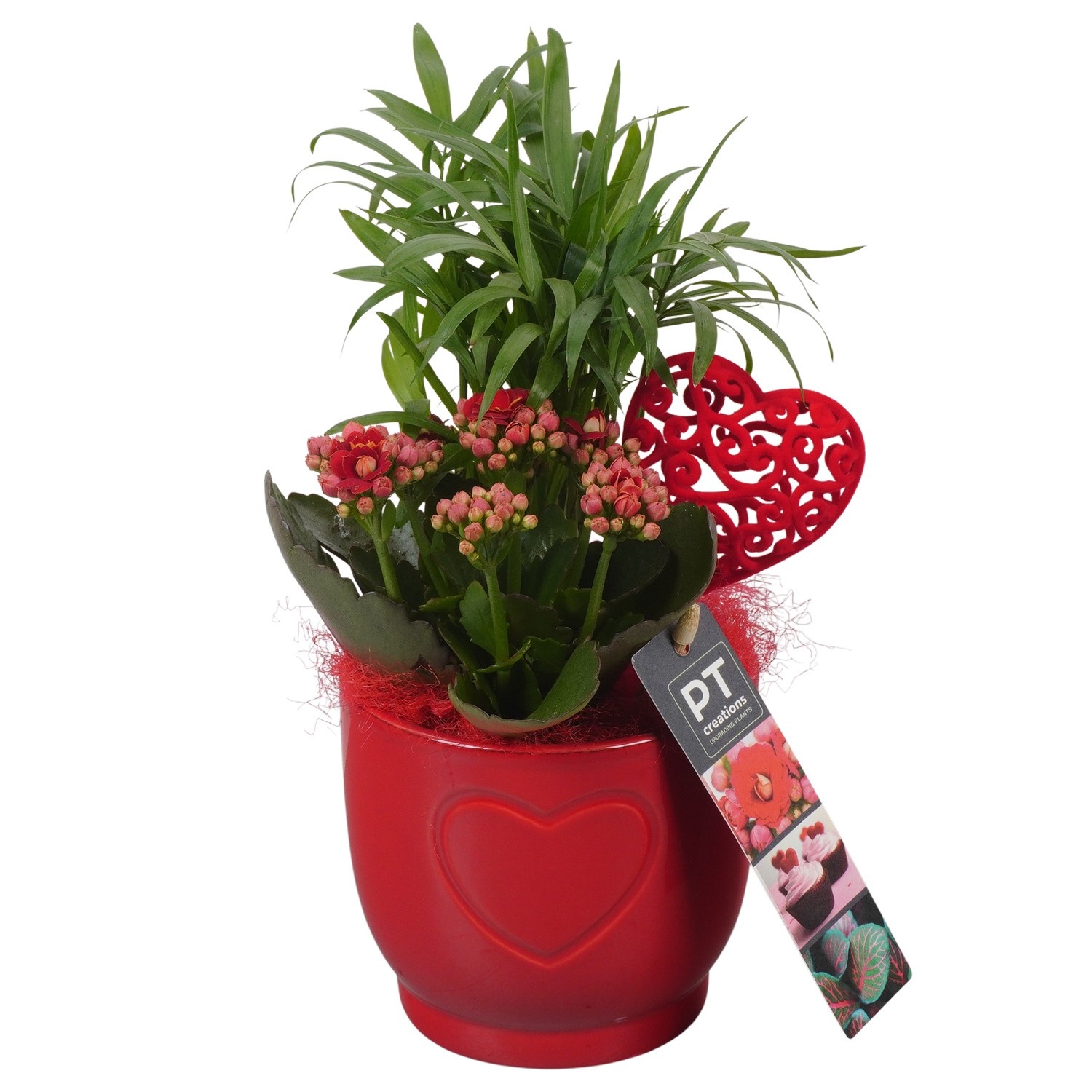 PTVMB2253 Arrangement Valentines-Mothersday in keramiek sierpot, D 11