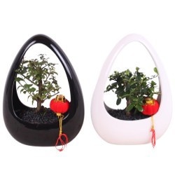 Bonsai Mixed pot ø12cm in ø19cm Ikebana Ceramic Black/White, D 19