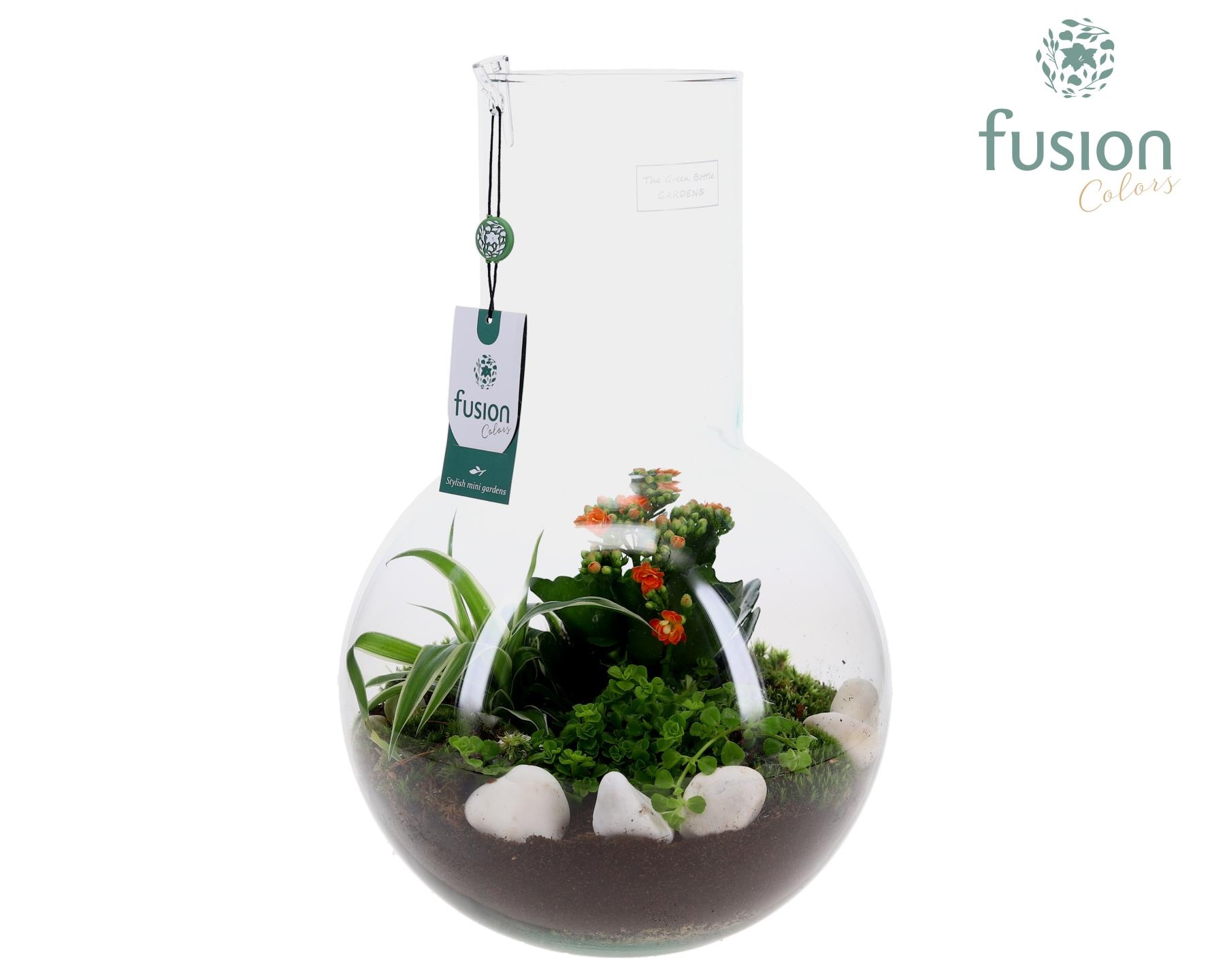 Green Bottle Suzanne Large met arrangement, D 26