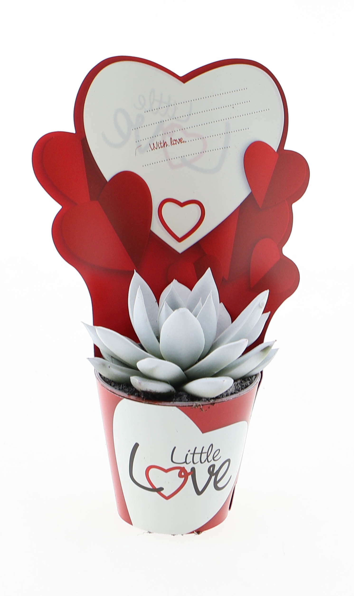 Potcover little love miranda wit, D 5,5