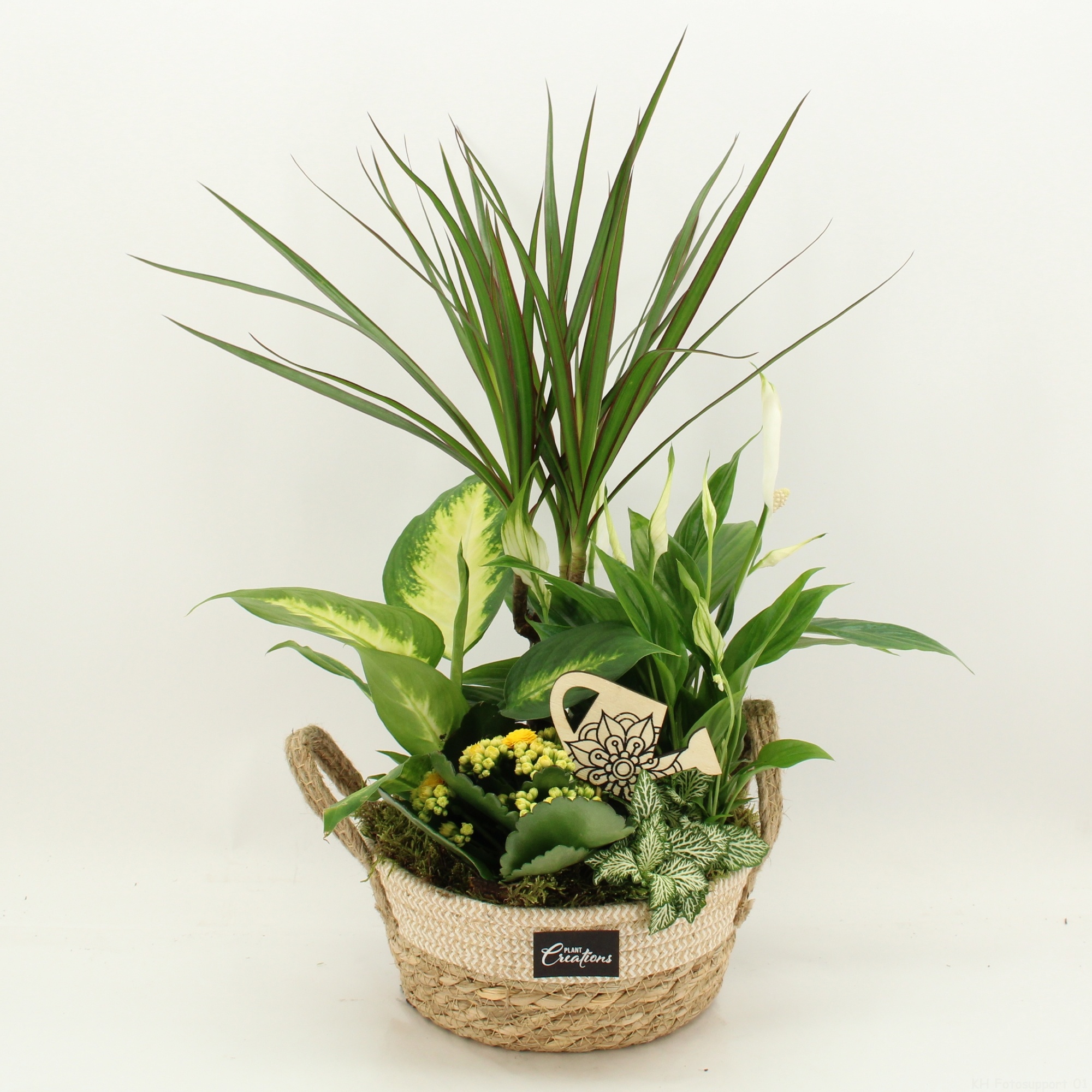 FDCR-2619G Basic Fundamentals, D 21